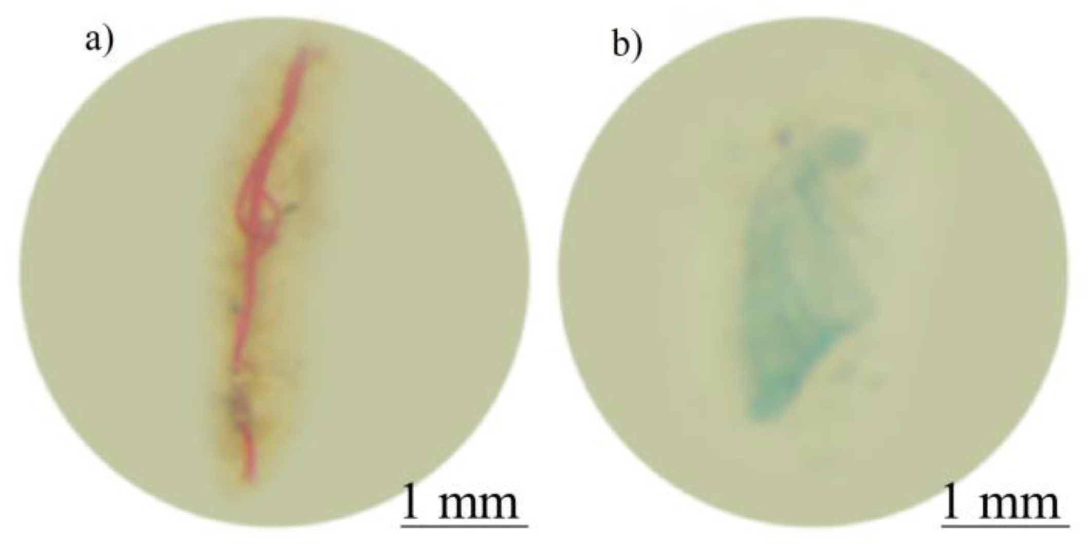 Sustainability 15 16464 g005