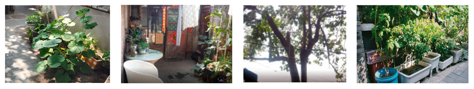 Sustainability 15 16566 i012