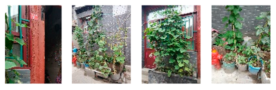 Sustainability 15 16566 i013