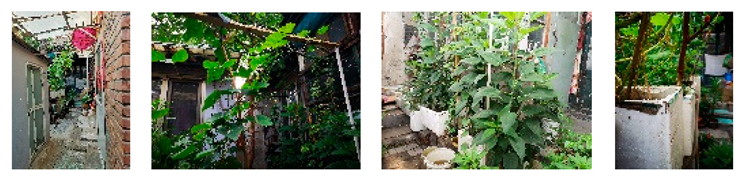 Sustainability 15 16566 i018