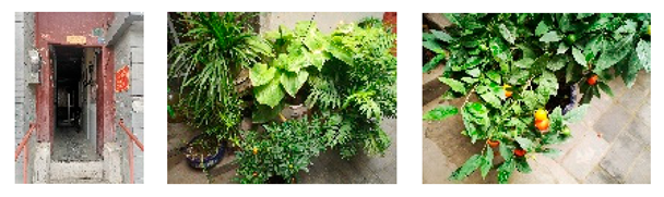 Sustainability 15 16566 i019