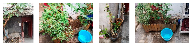 Sustainability 15 16566 i020