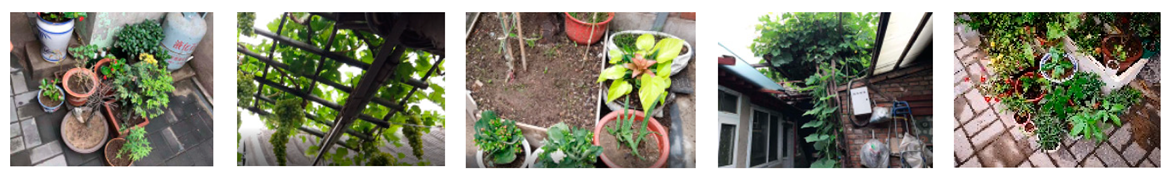 Sustainability 15 16566 i025