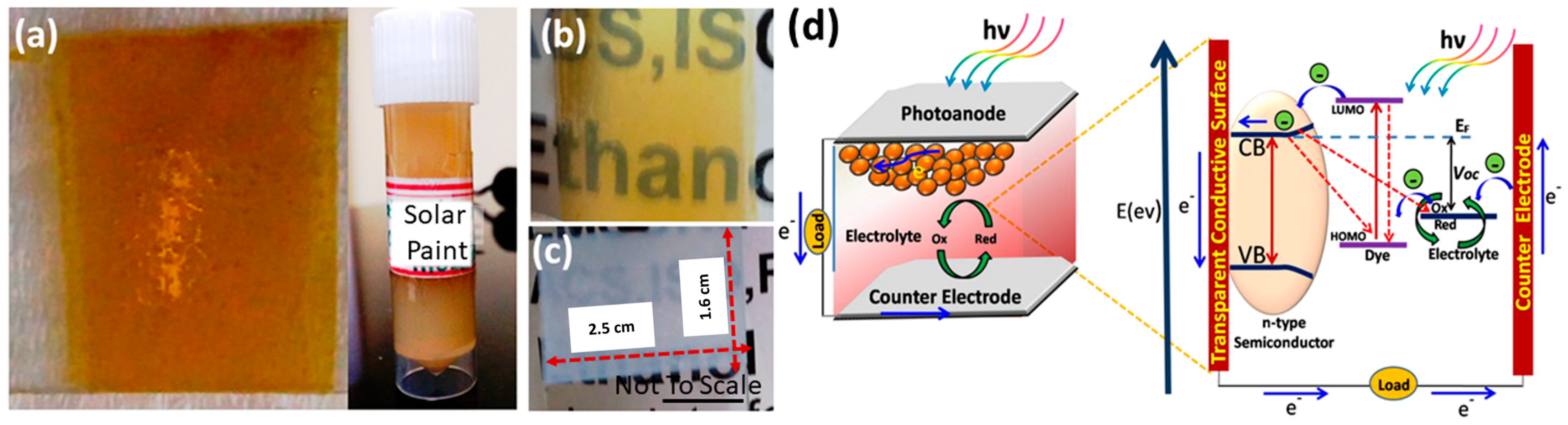 Sustainability 15 16610 g006
