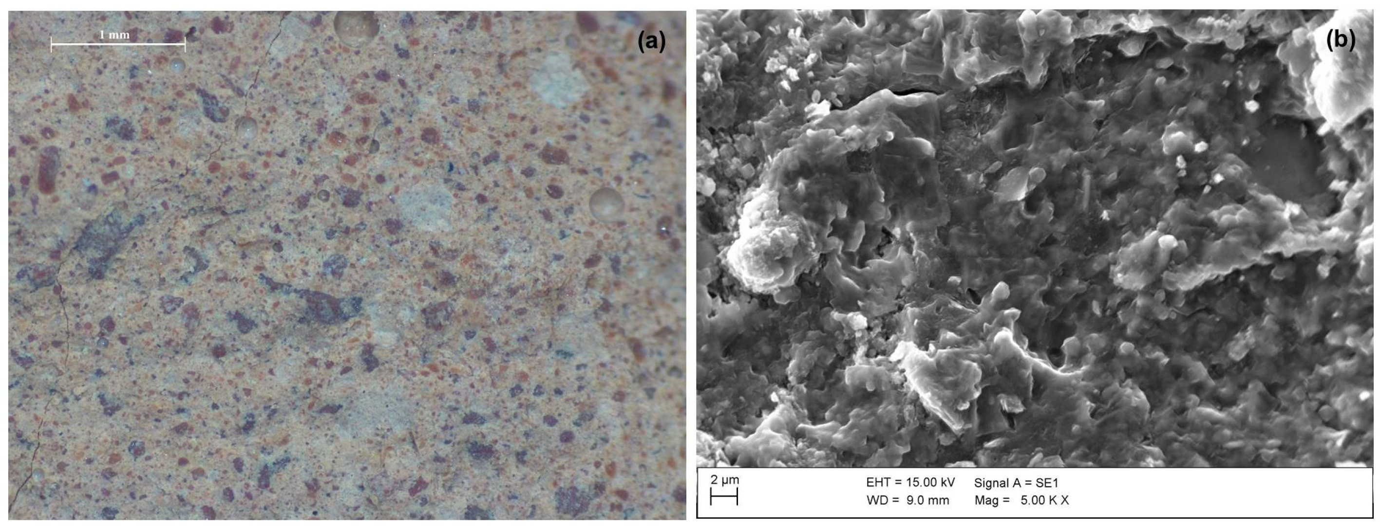 Sustainability 15 16623 g005