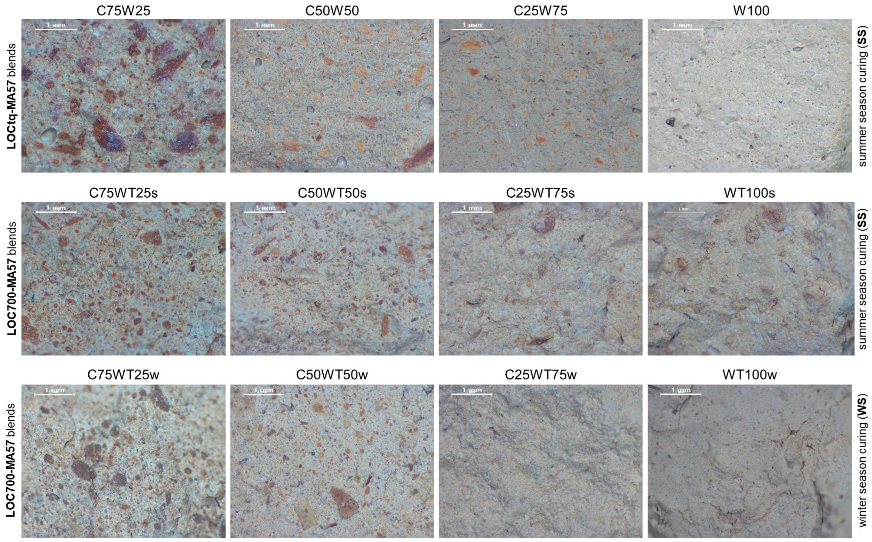 Sustainability 15 16623 g006