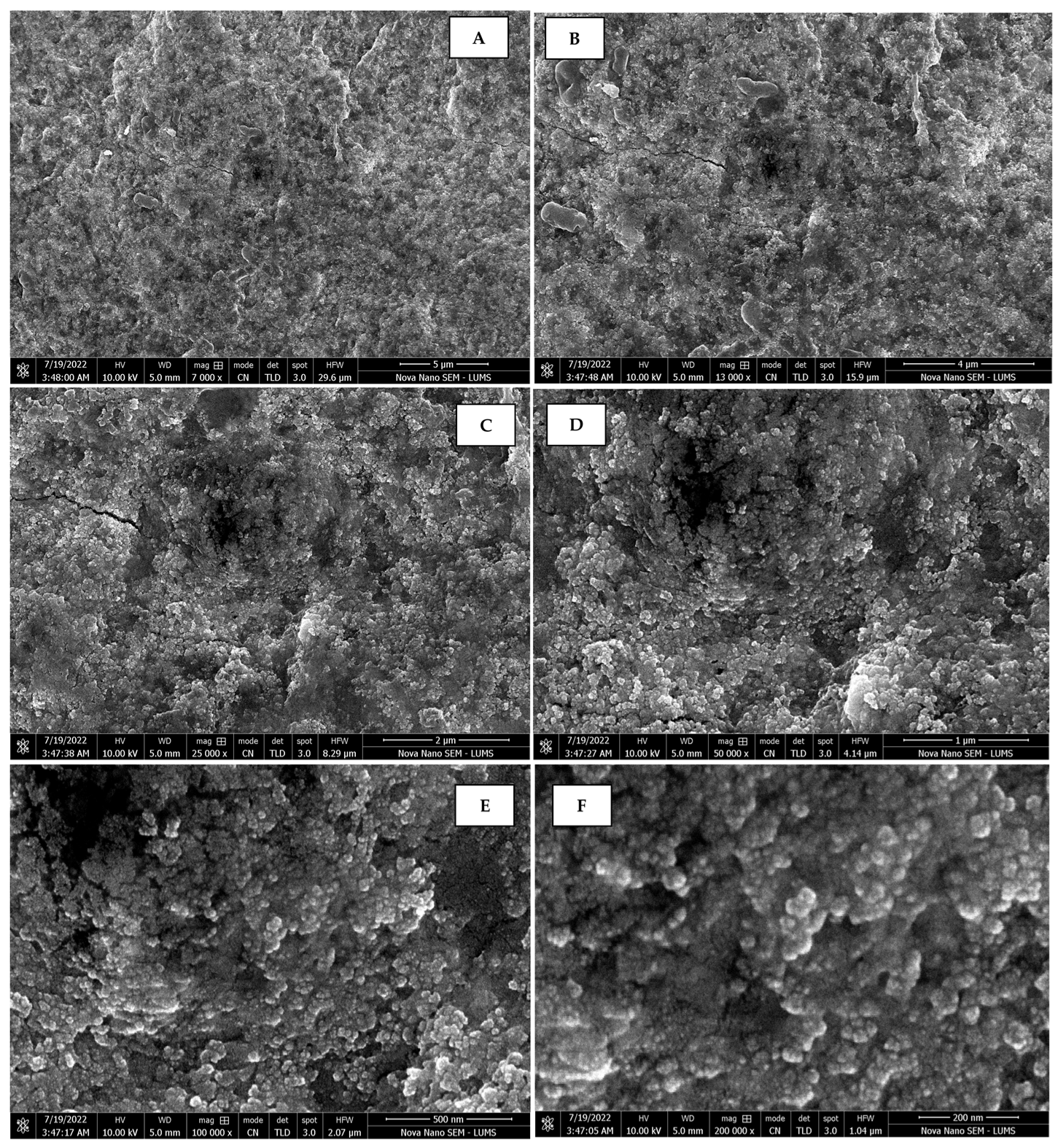Sustainability 15 16633 g010