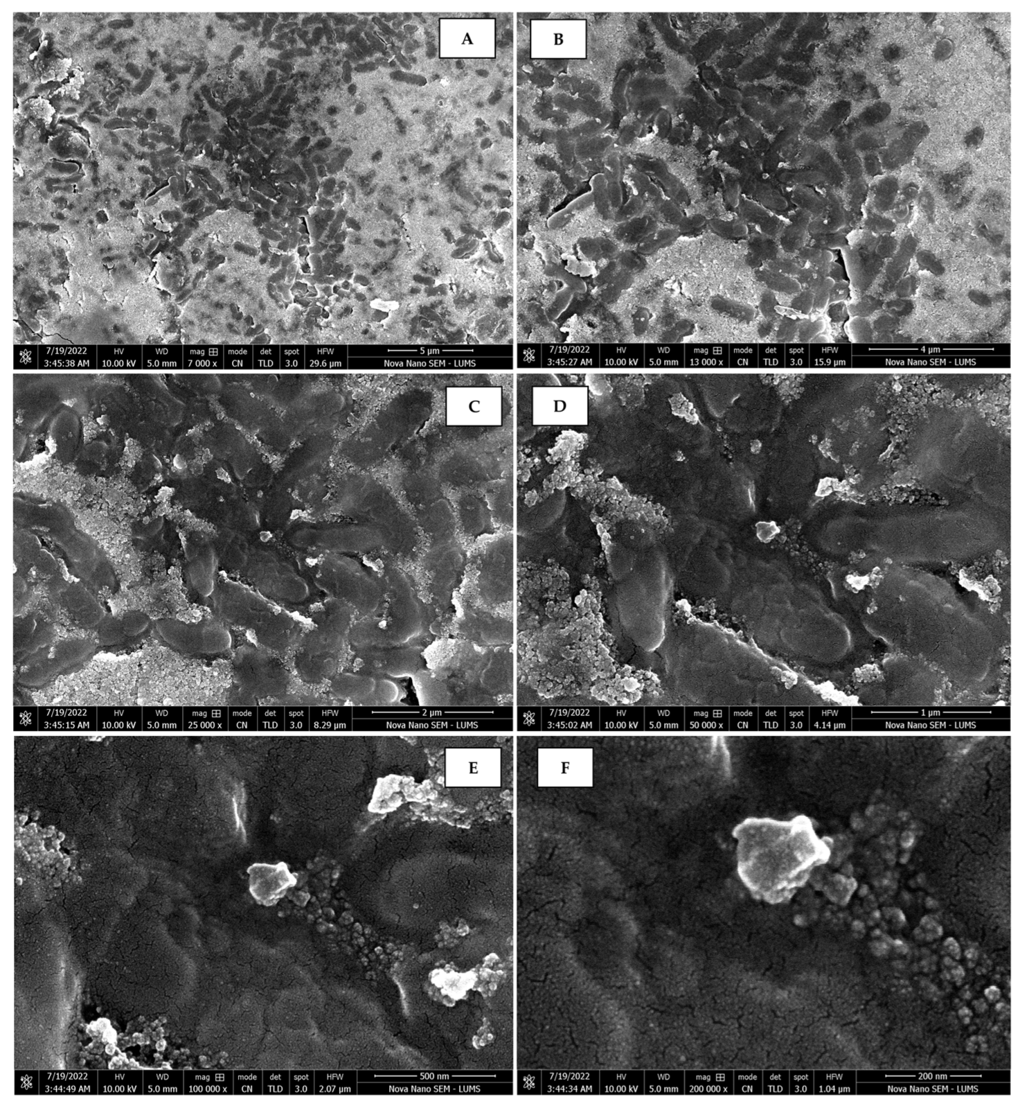 Sustainability 15 16633 g012