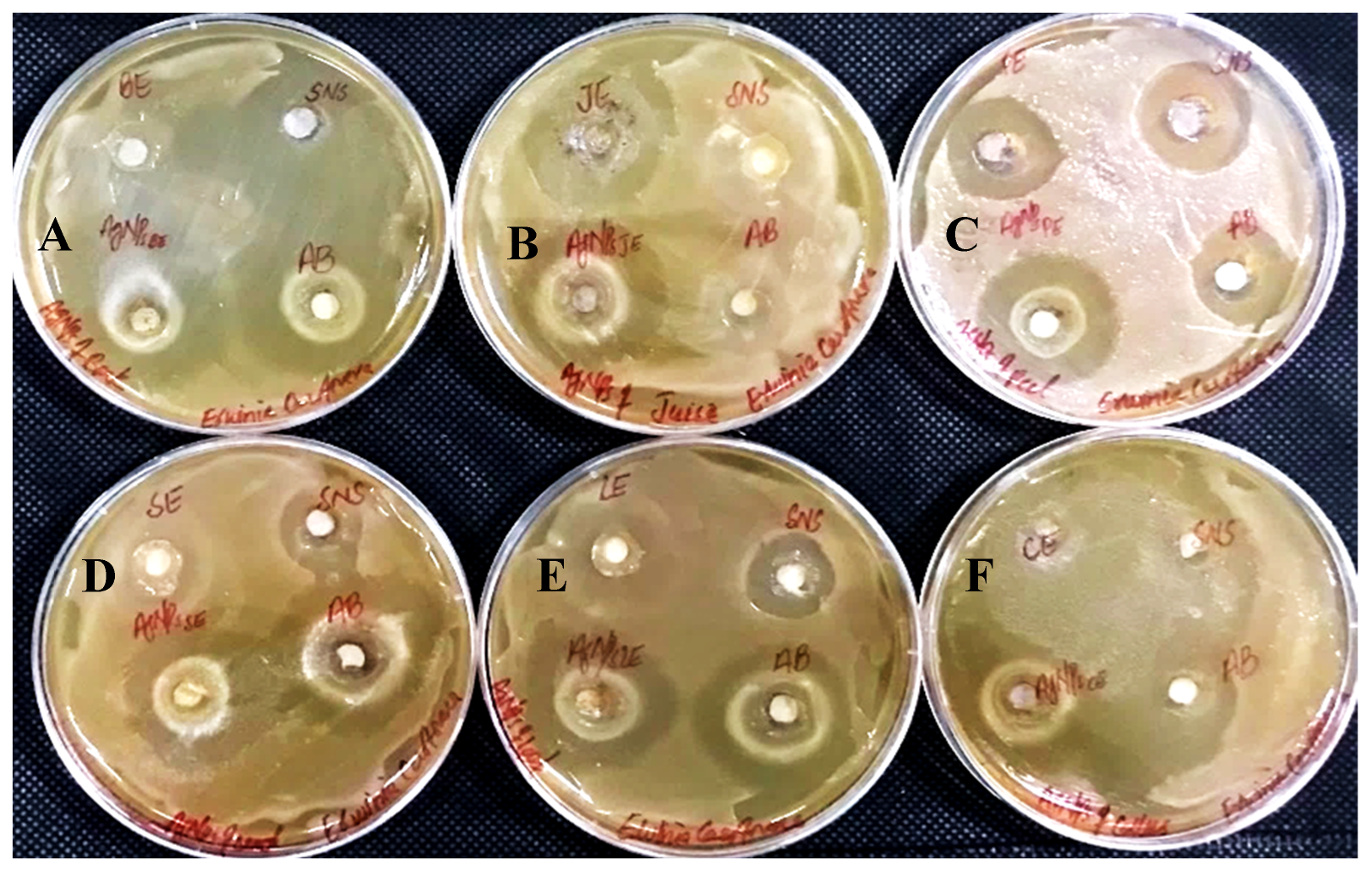 Sustainability 15 16633 g016