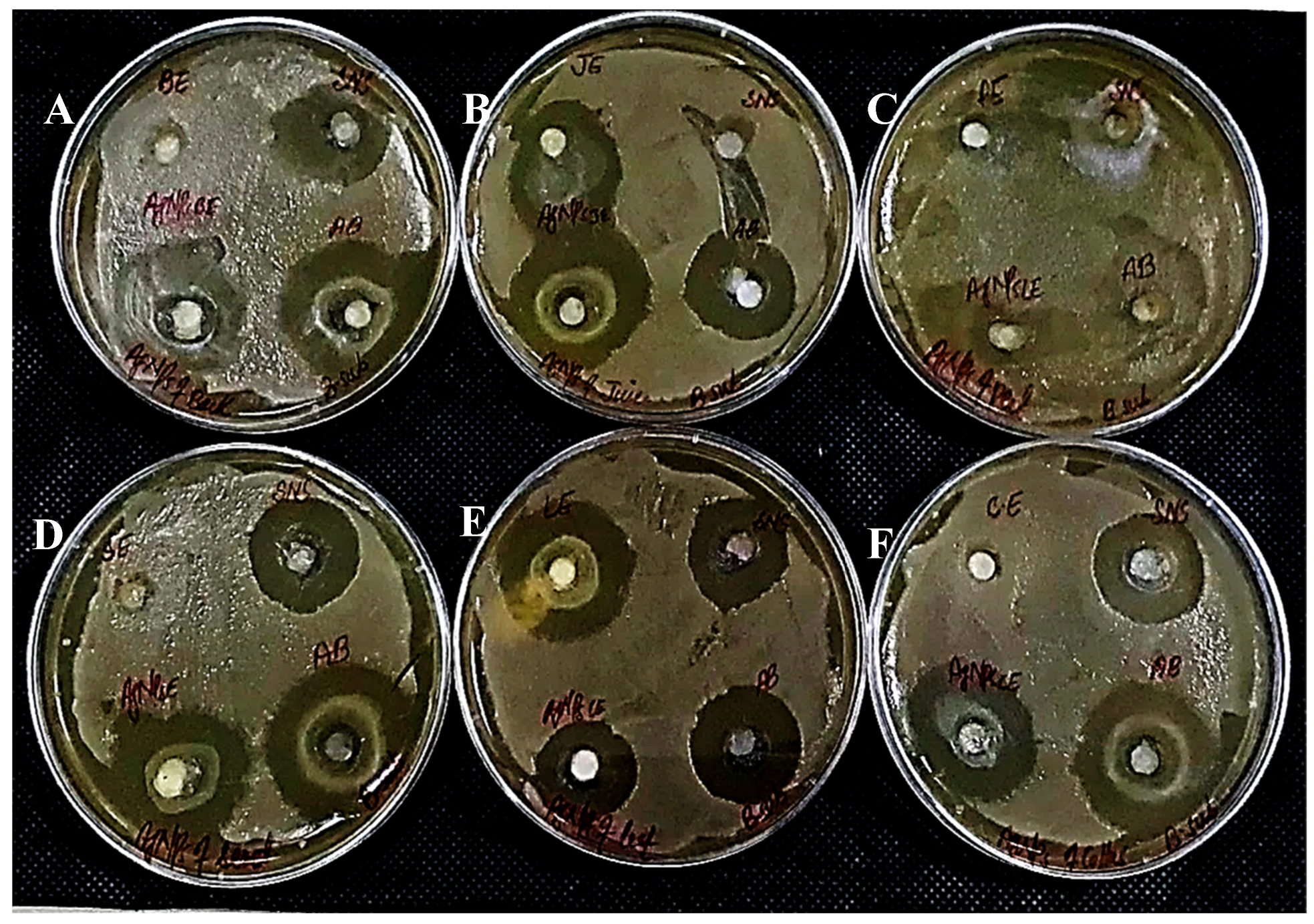 Sustainability 15 16633 g017