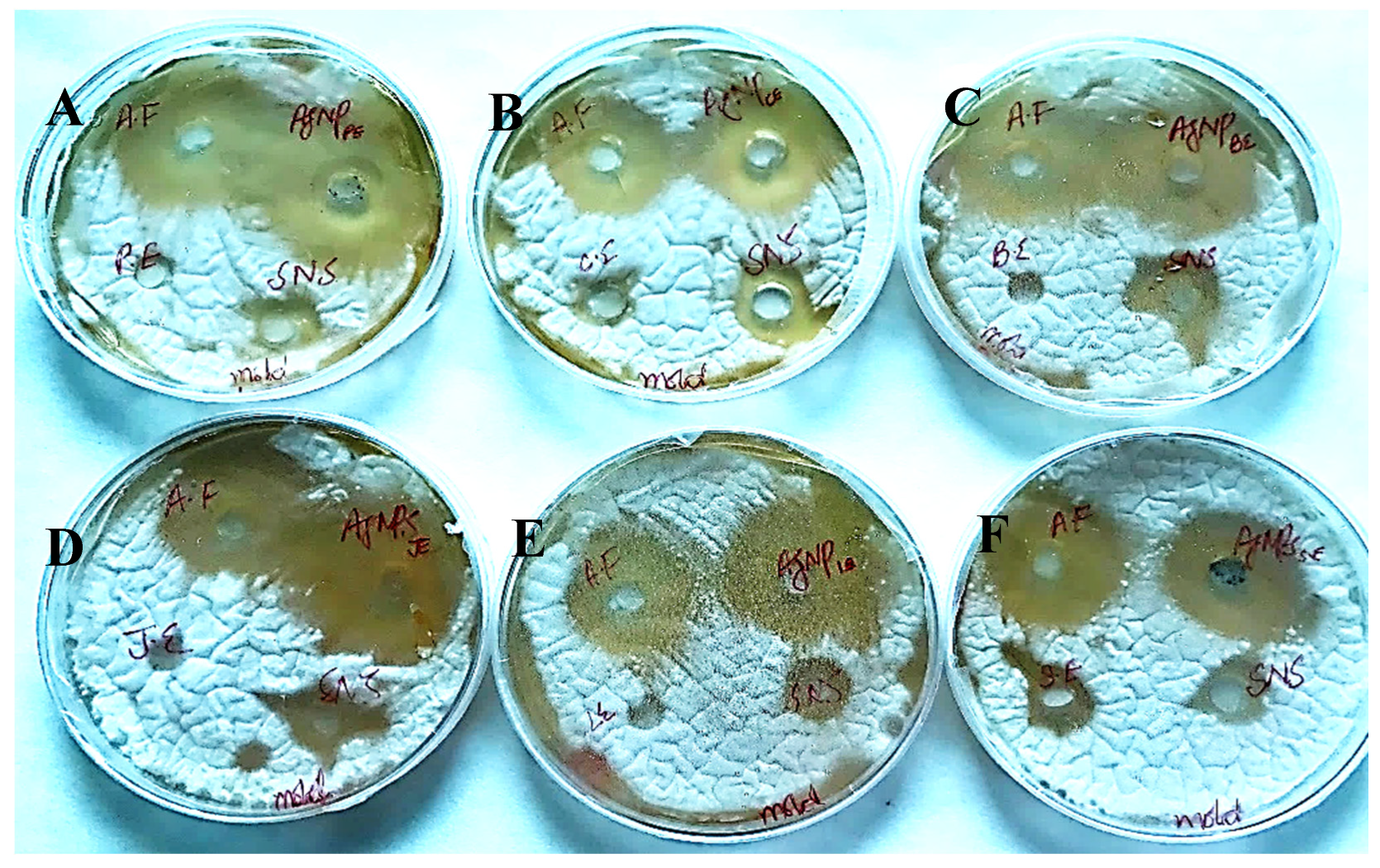 Sustainability 15 16633 g018