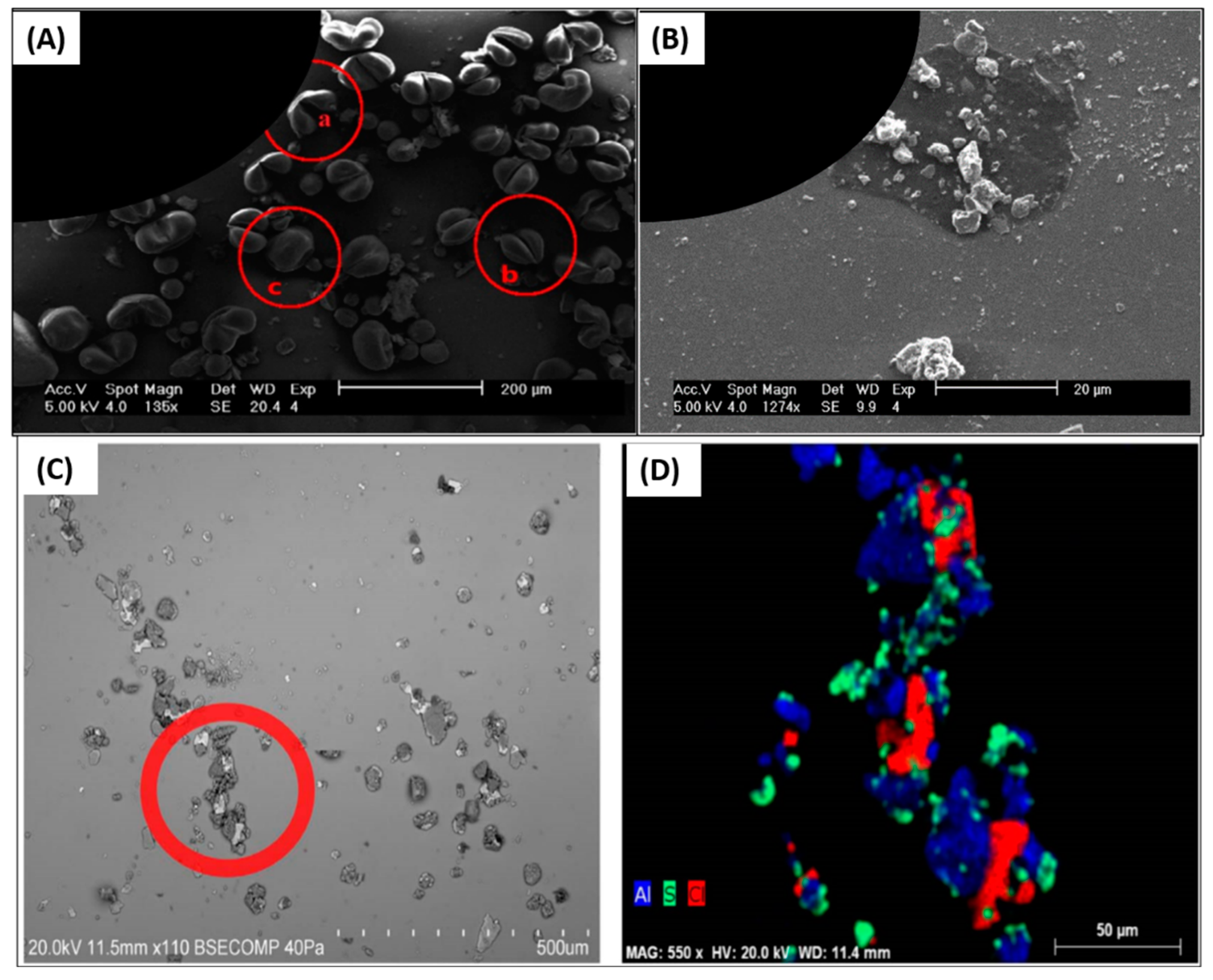 Sustainability 15 16669 g004