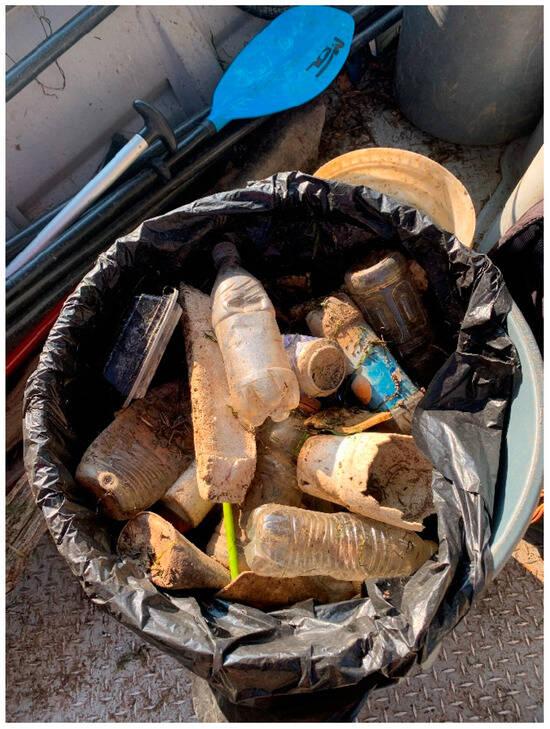 Sustainability 15 16747 g0a2