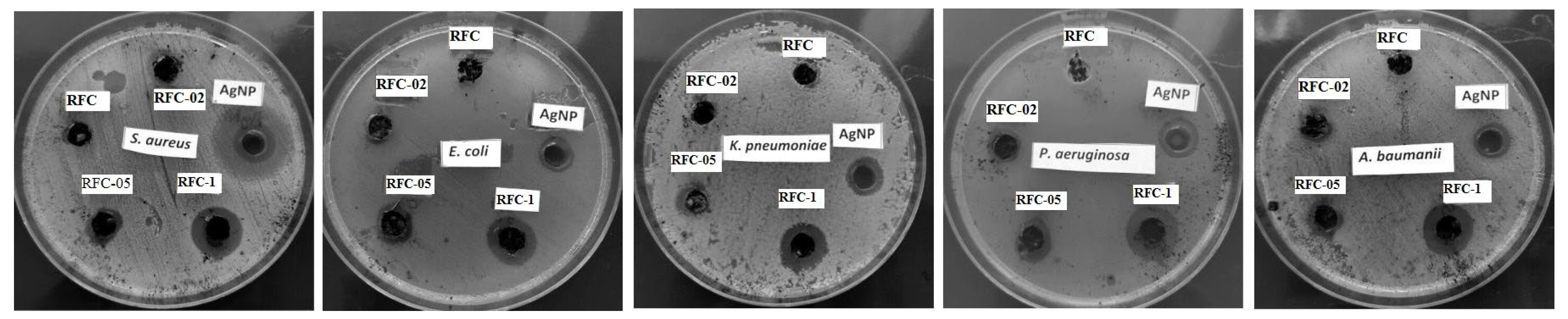 Sustainability 15 16817 g013