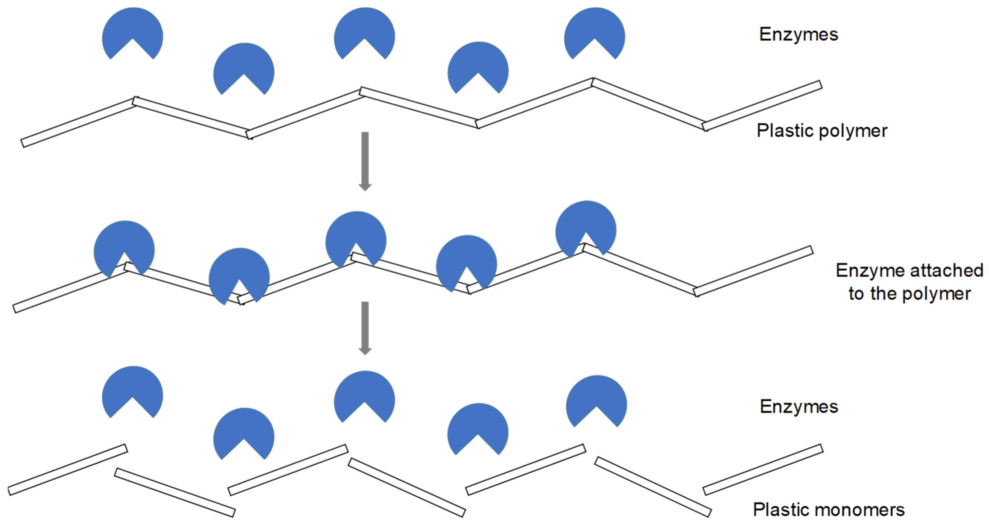 Sustainability 15 16865 g003