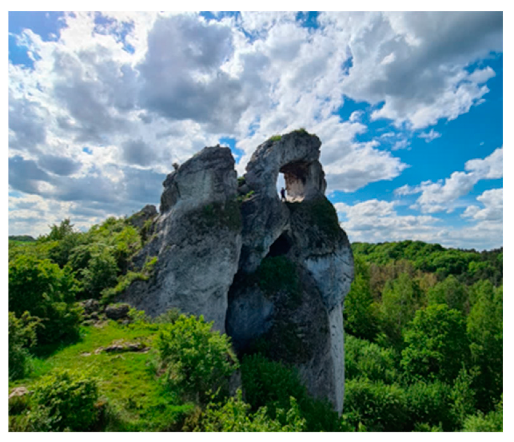 Sustainability 16 00007 sch001