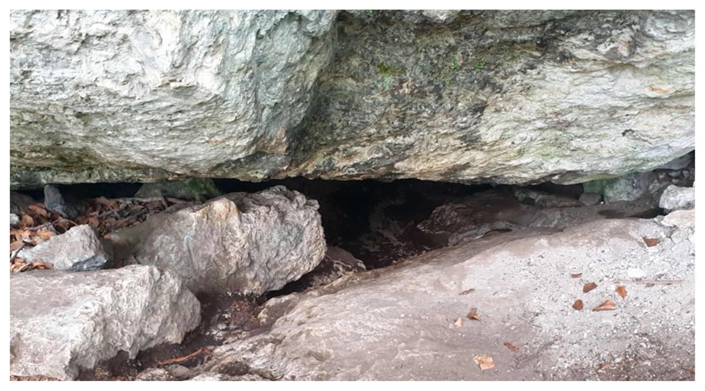 Sustainability 16 00007 sch002