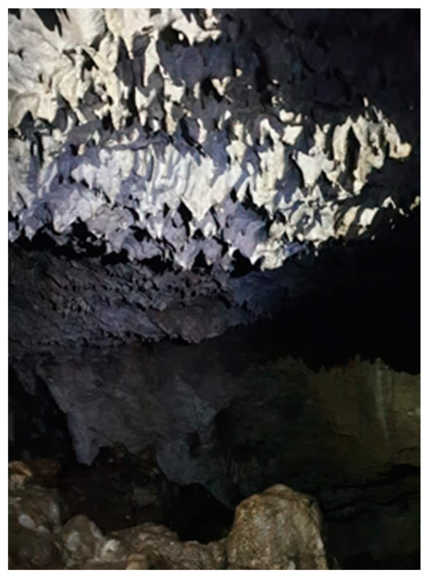 Sustainability 16 00007 sch003