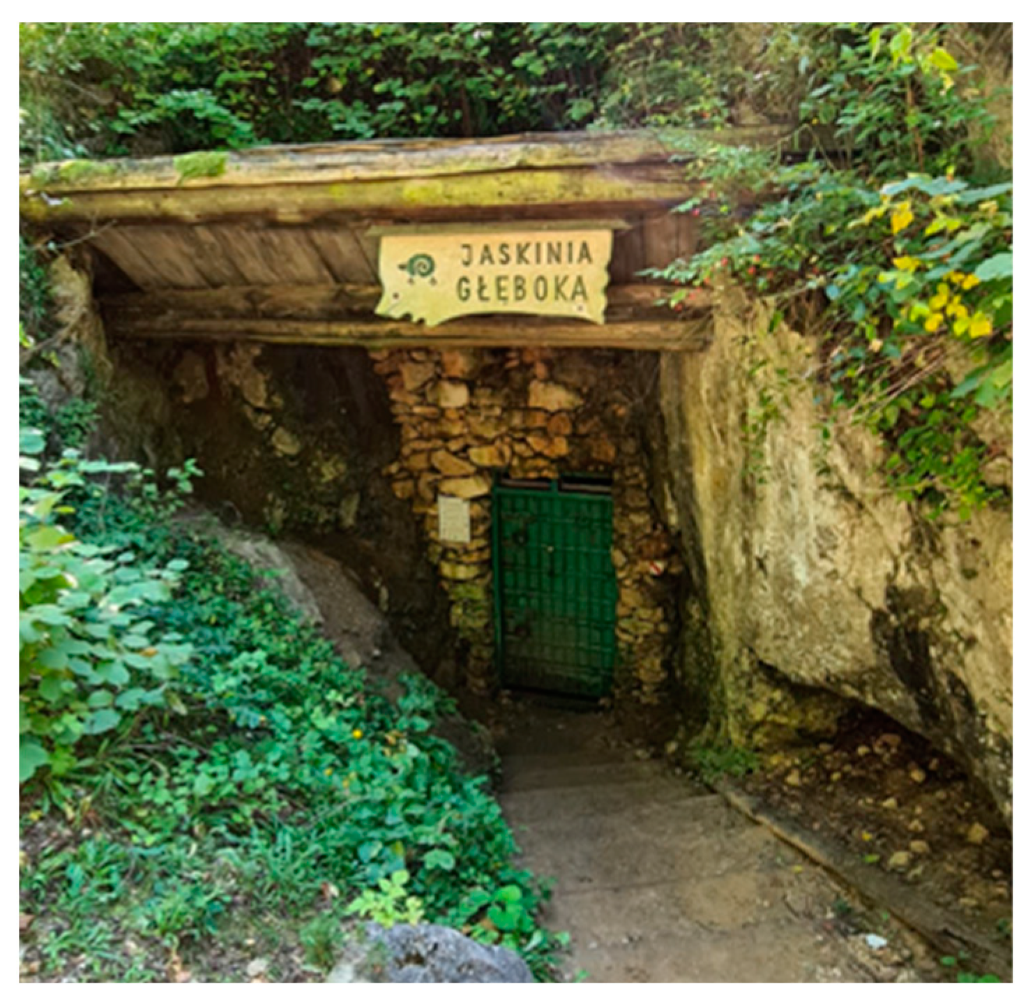 Sustainability 16 00007 sch004