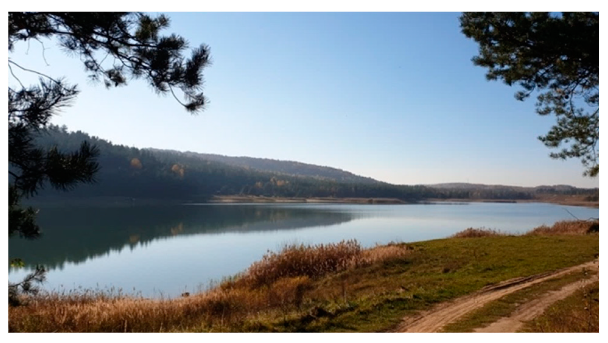 Sustainability 16 00007 sch005