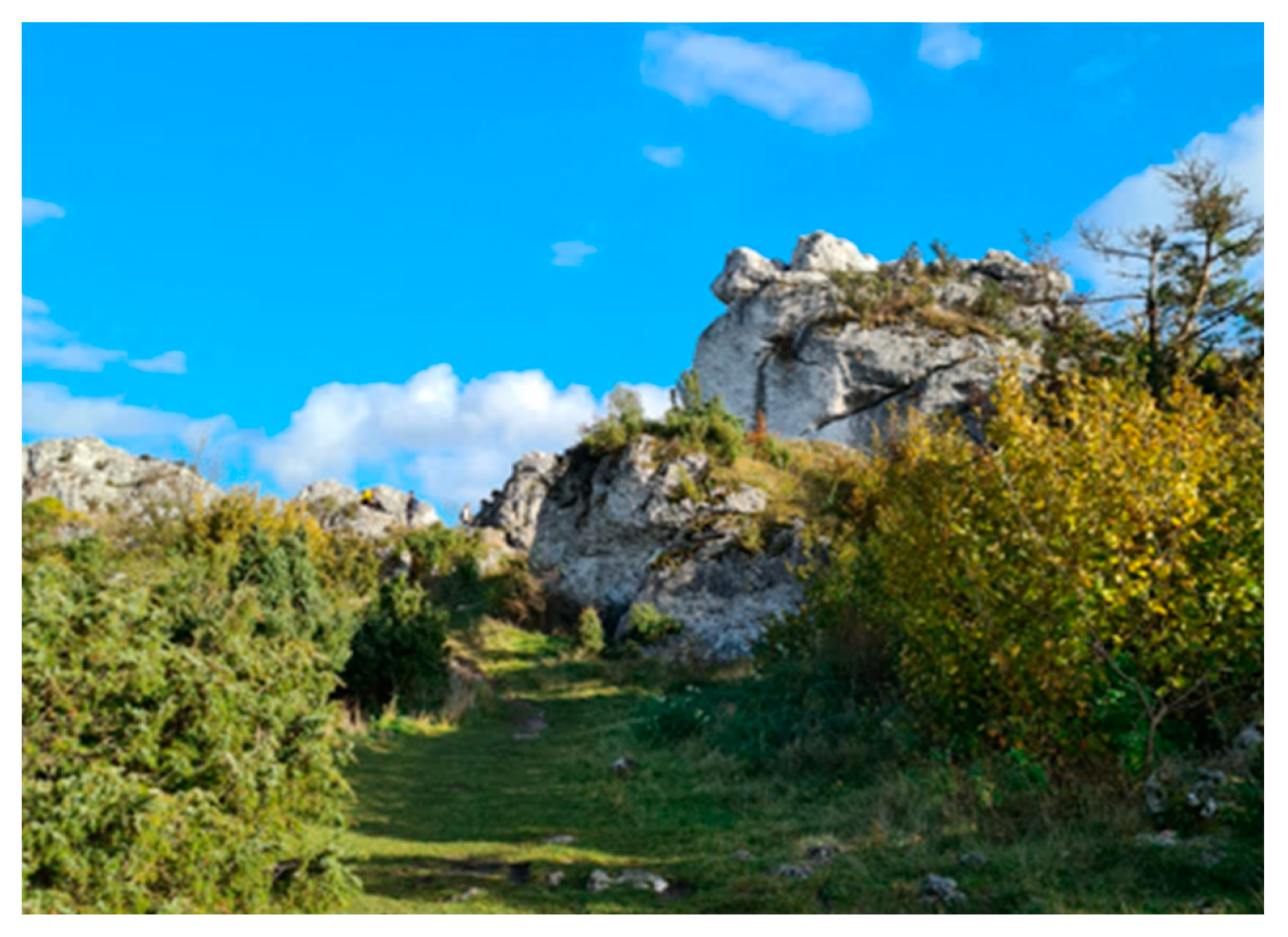 Sustainability 16 00007 sch006