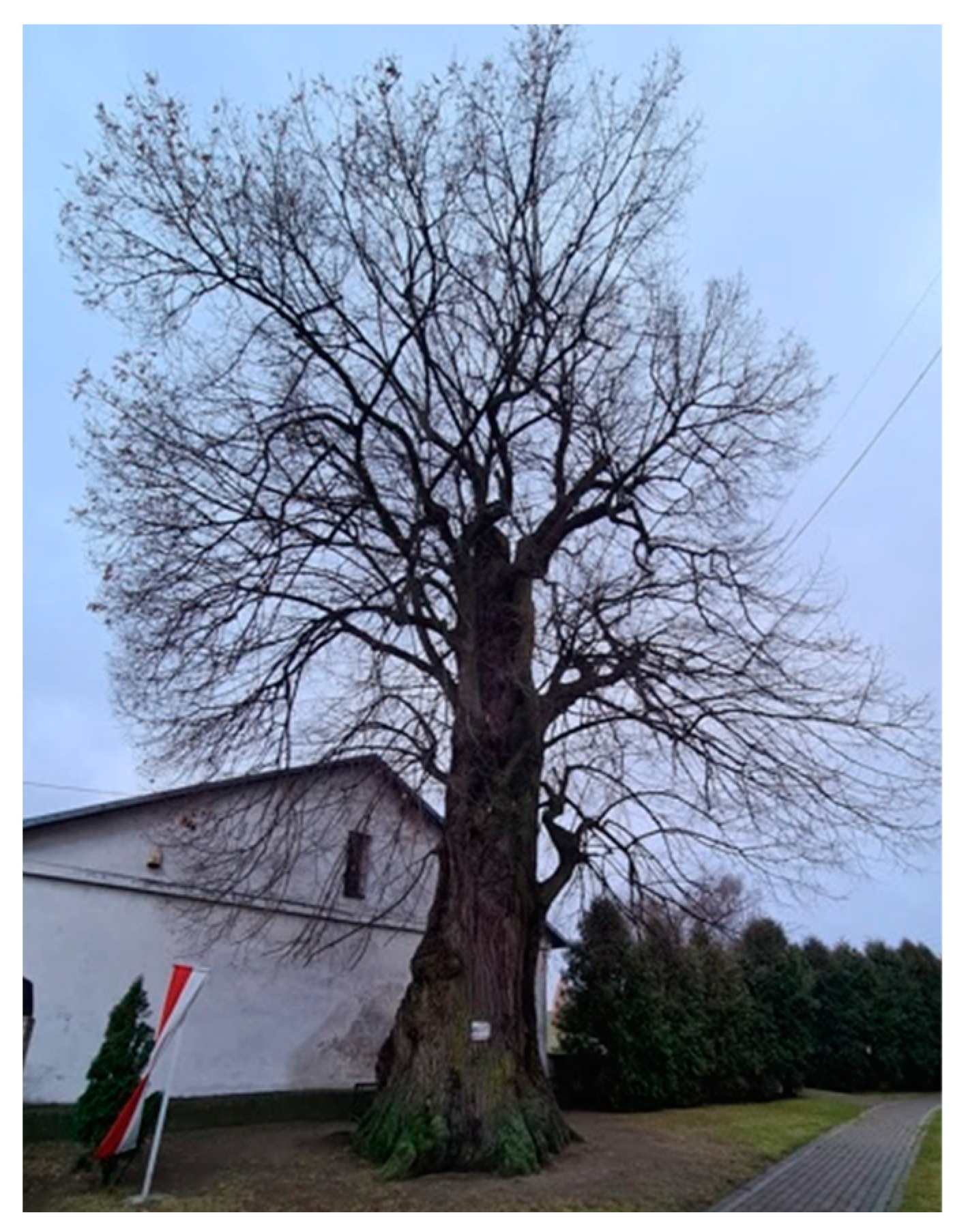 Sustainability 16 00007 sch009