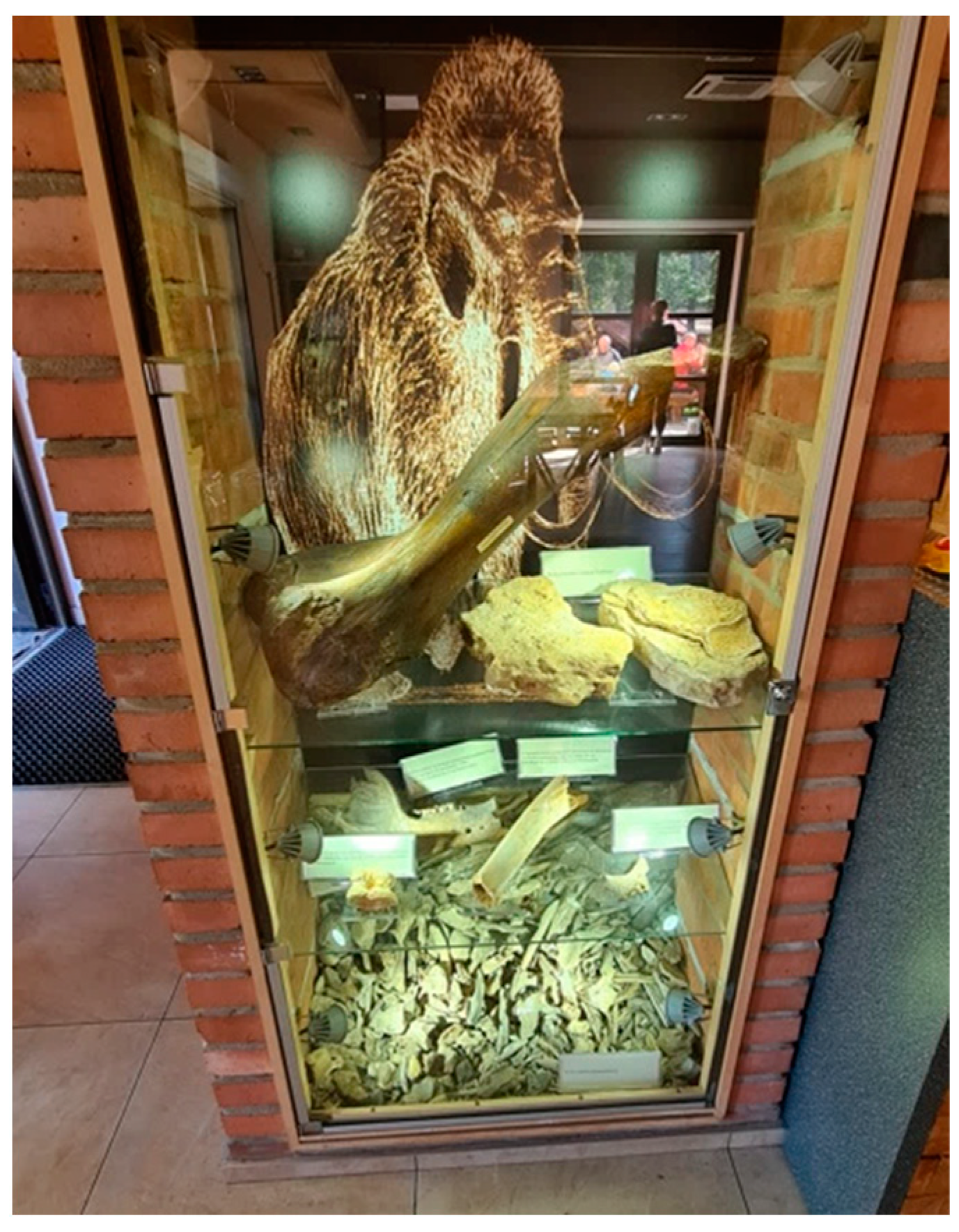 Sustainability 16 00007 sch010