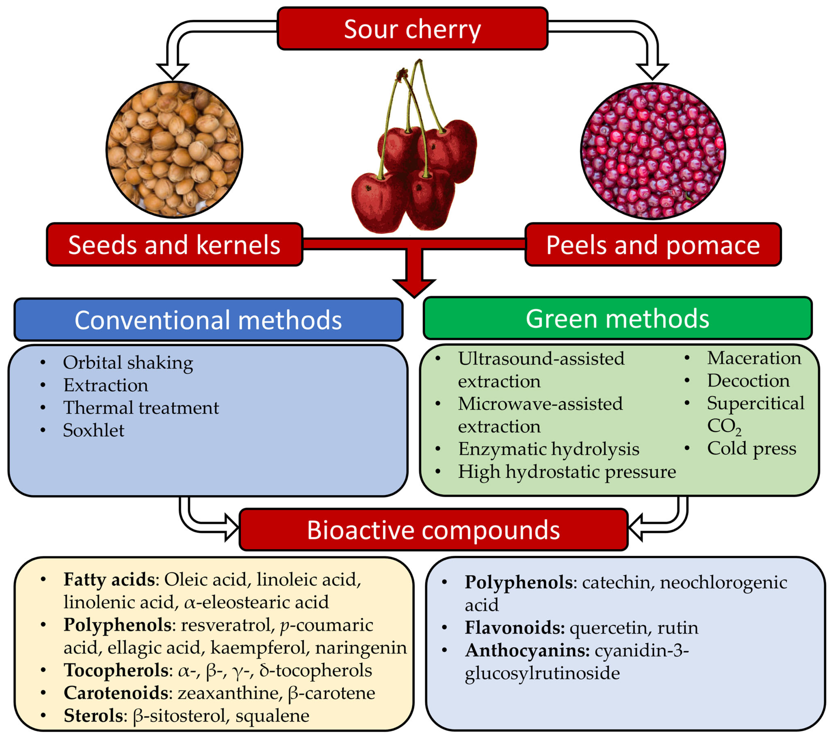 Sustainability 16 00032 g002