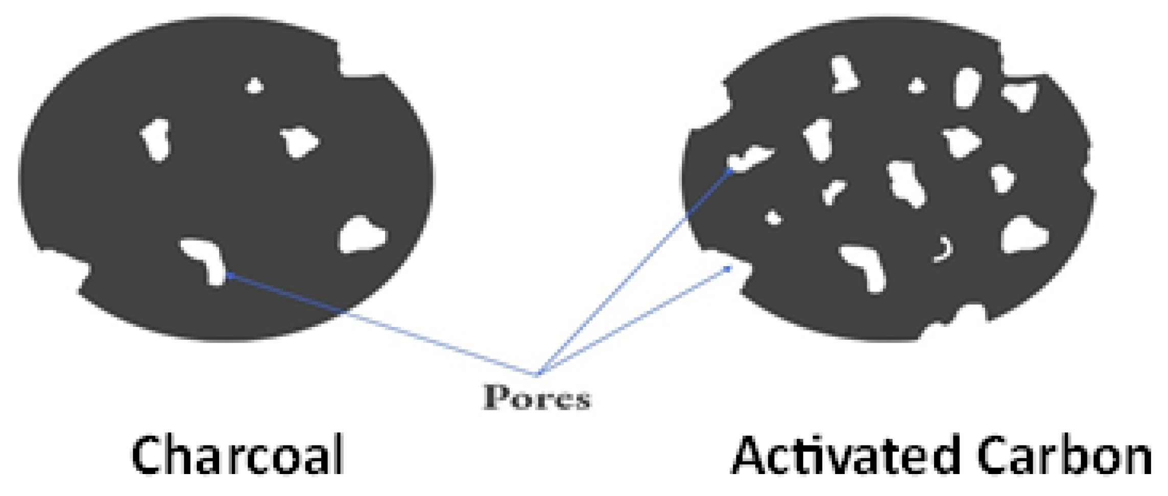 Sustainability 16 00047 g002