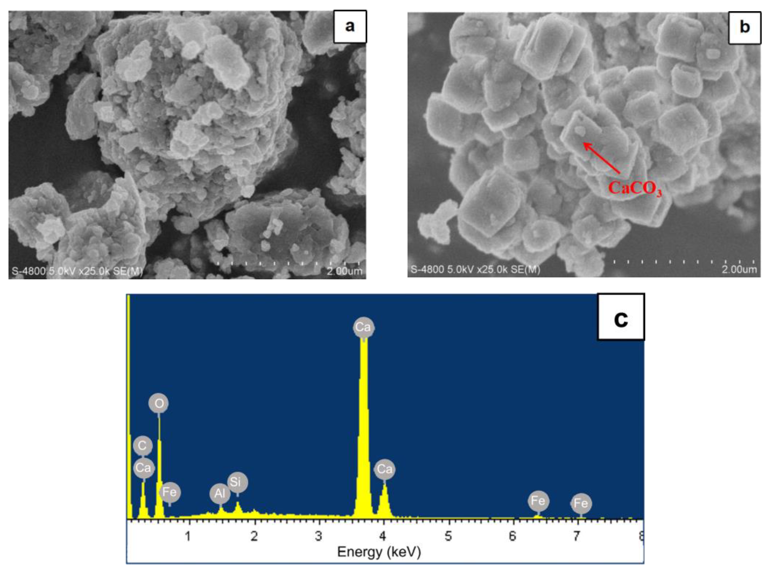 Sustainability 16 00081 g005