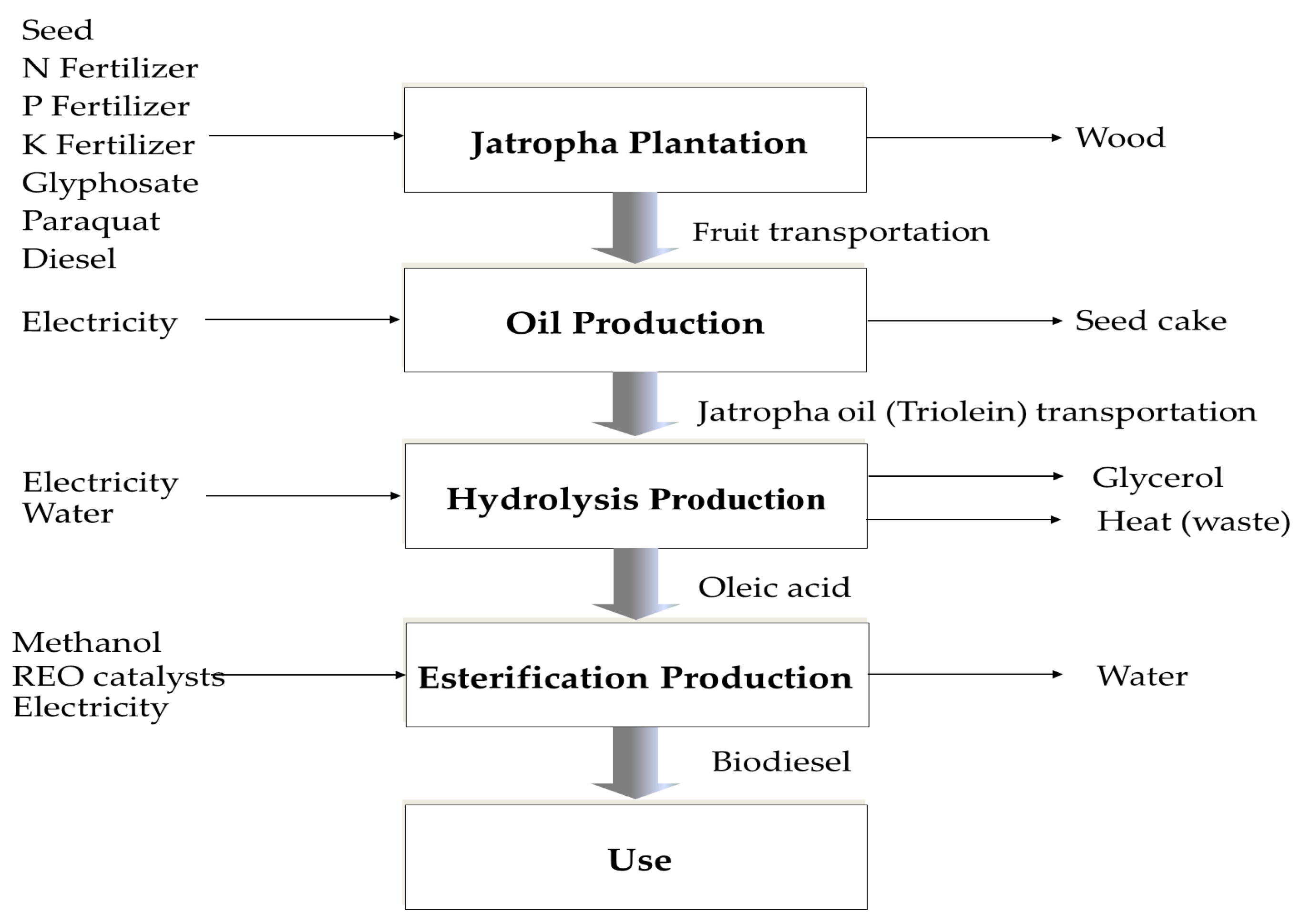 Sustainability 16 00100 g001