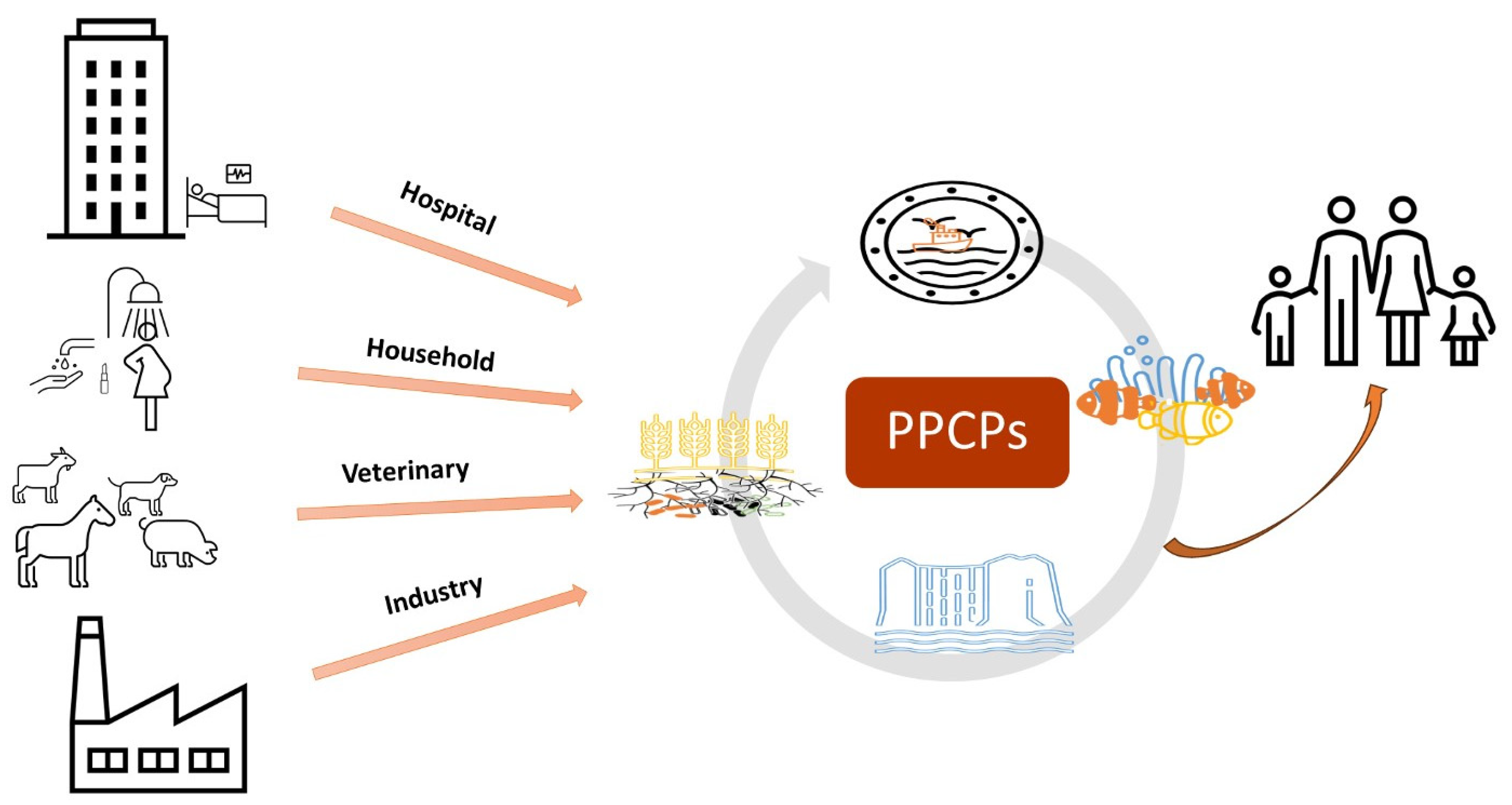 Sustainability 16 00169 g001