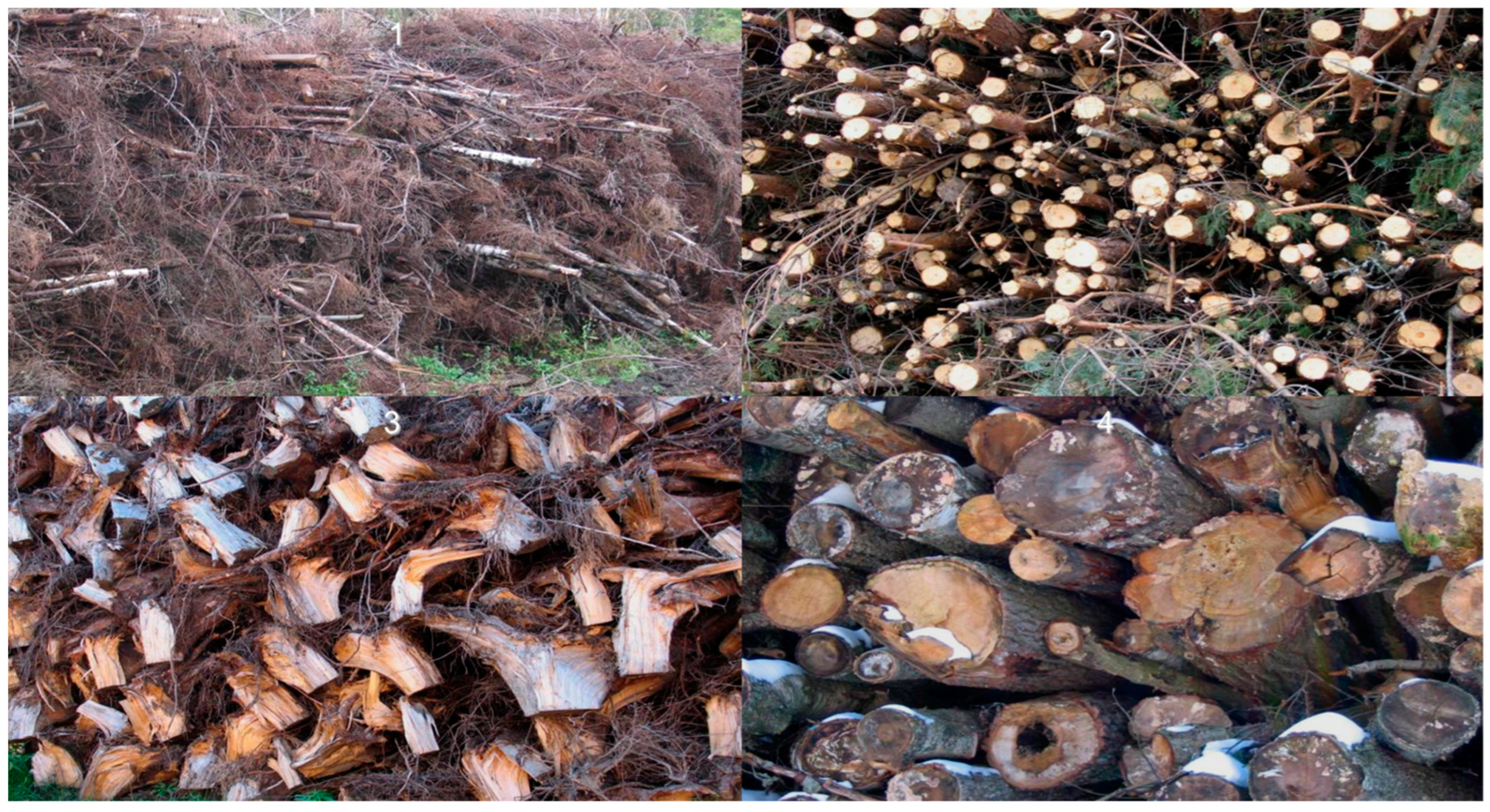 Sustainability 16 00170 g006