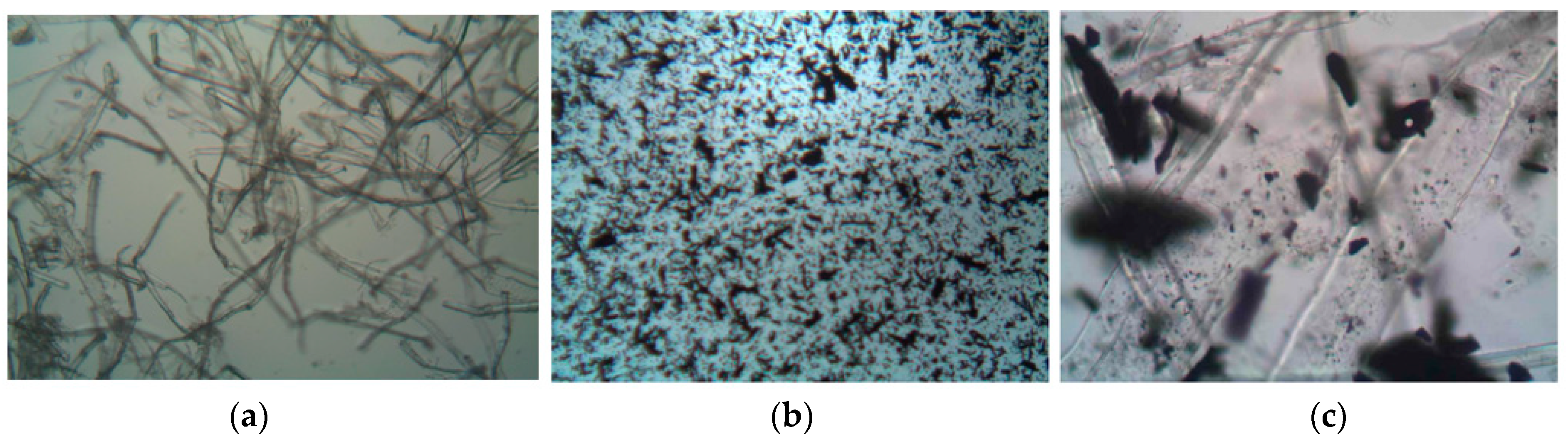 Sustainability 16 00179 g004 Sustainability 16 00179 g004