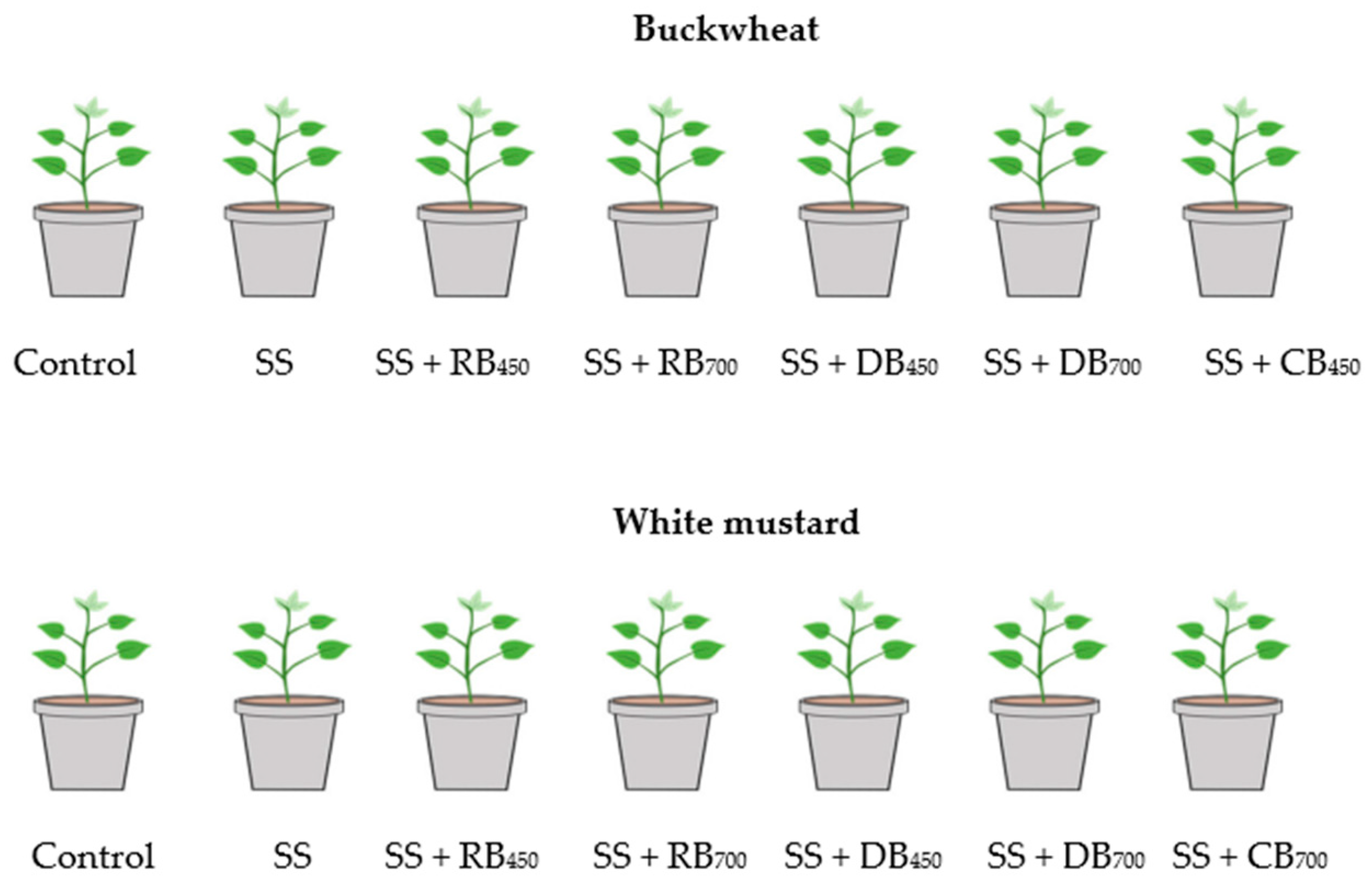 Sustainability 16 00183 g003