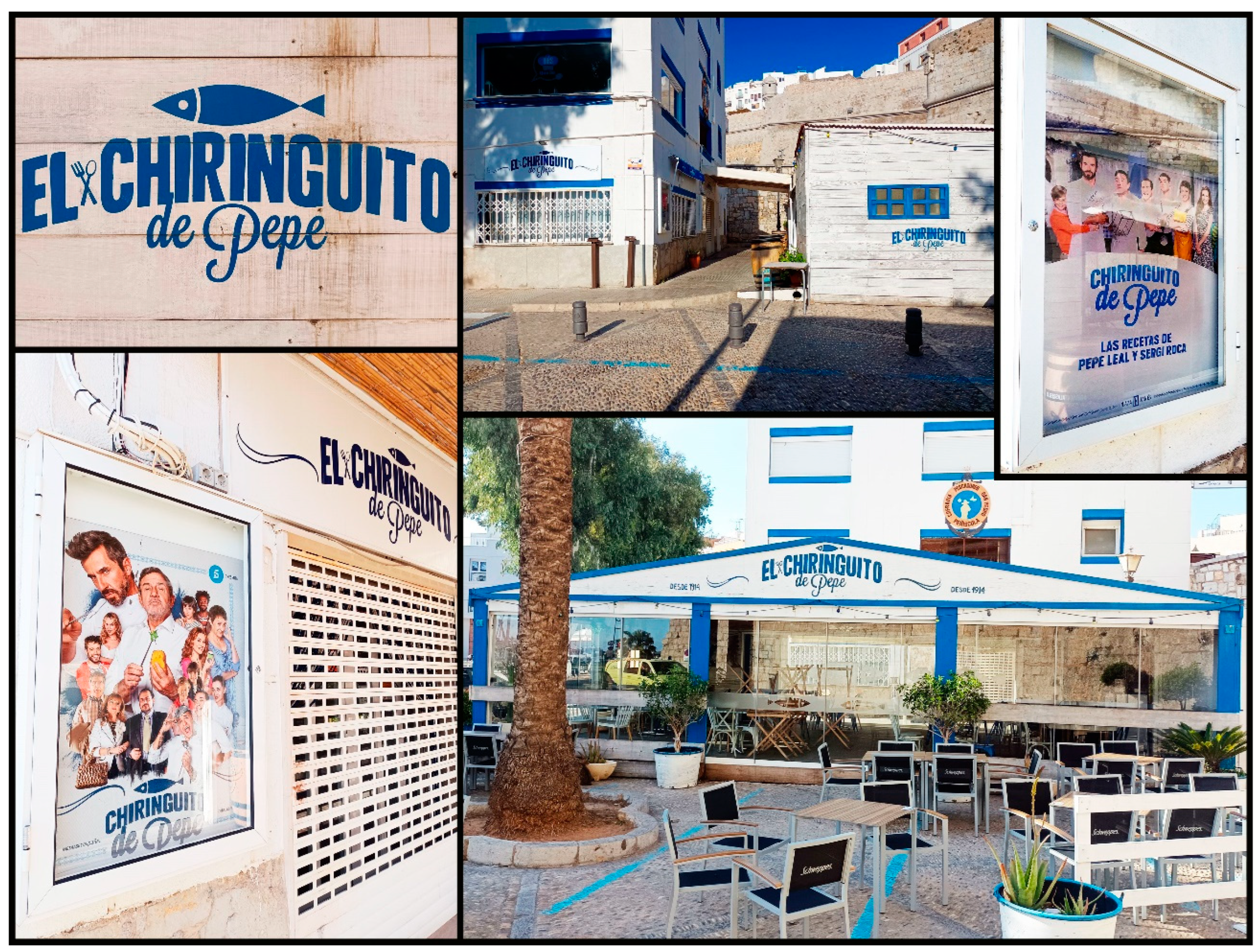 Sustainability 16 00186 g002