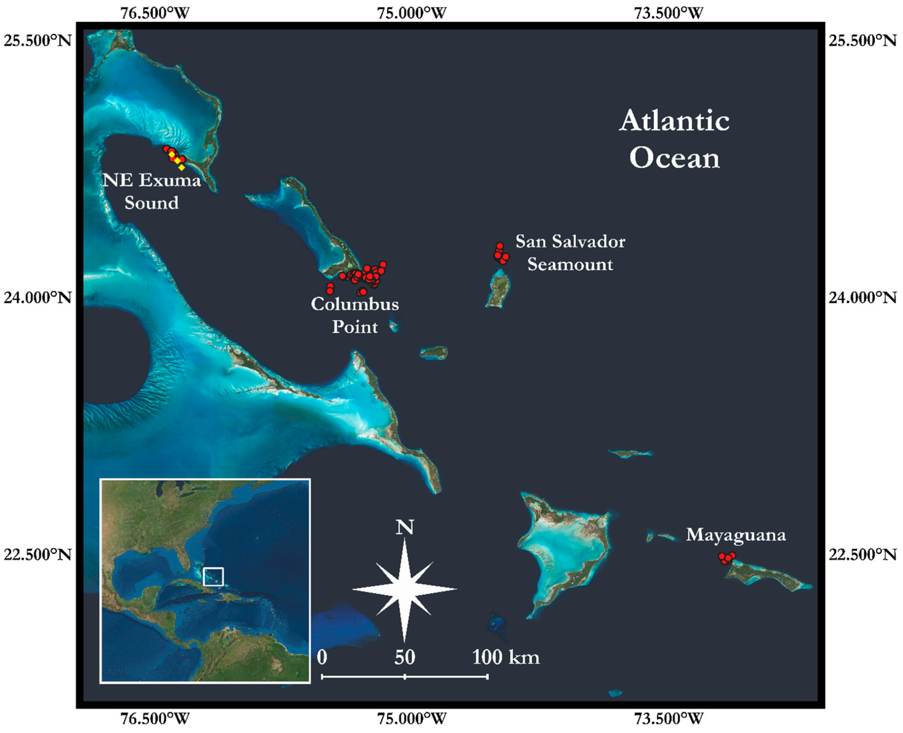 Sustainability 16 00200 g002