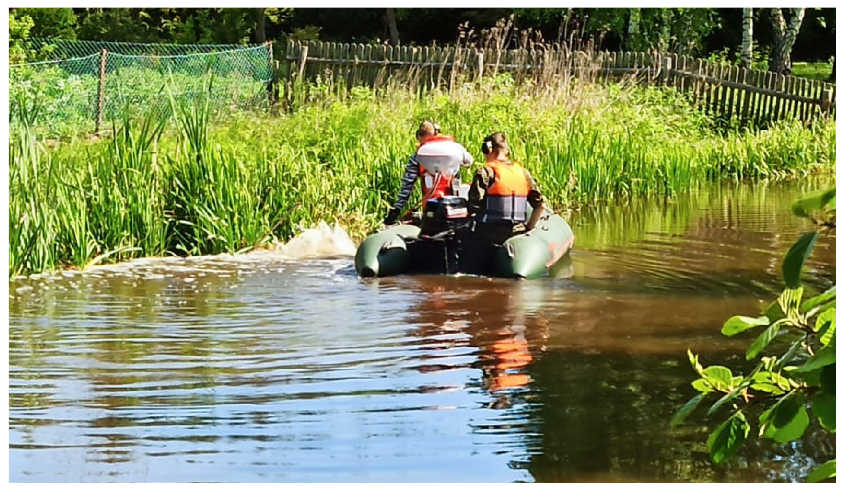 Sustainability 16 00266 g003