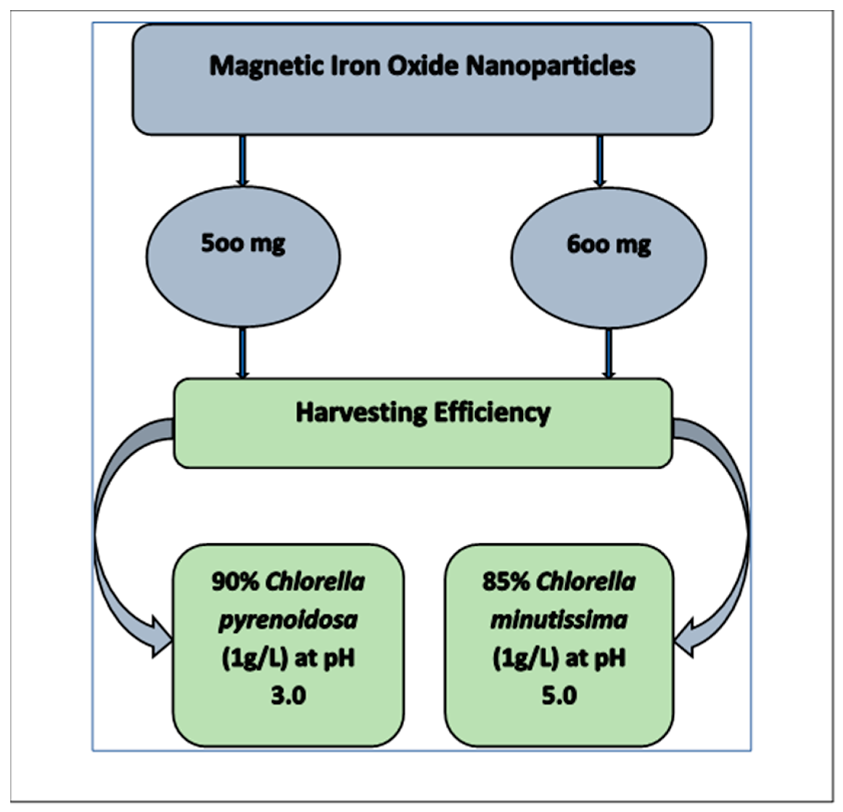 Sustainability 16 00295 g004