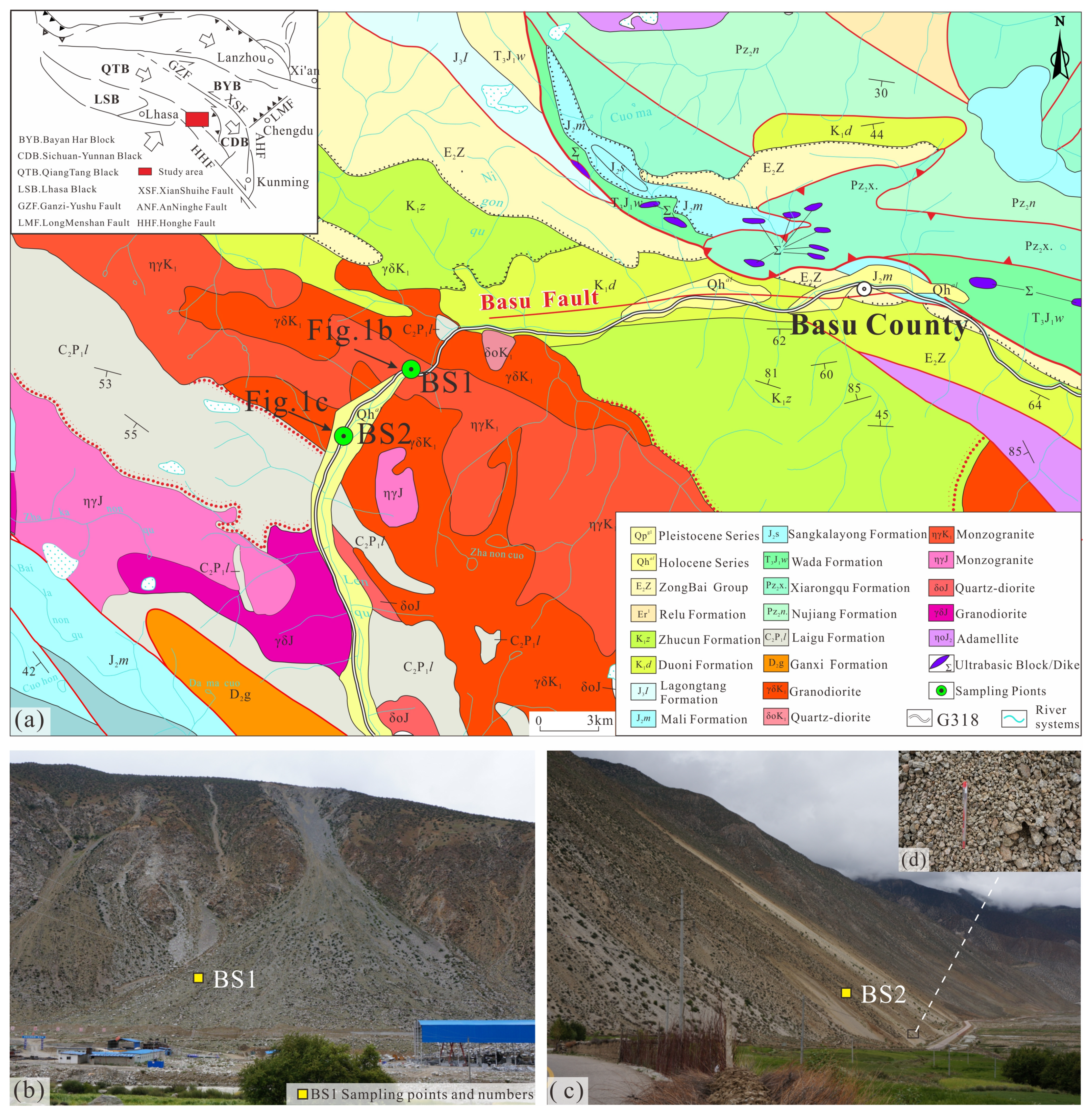 Sustainability 16 00319 g001
