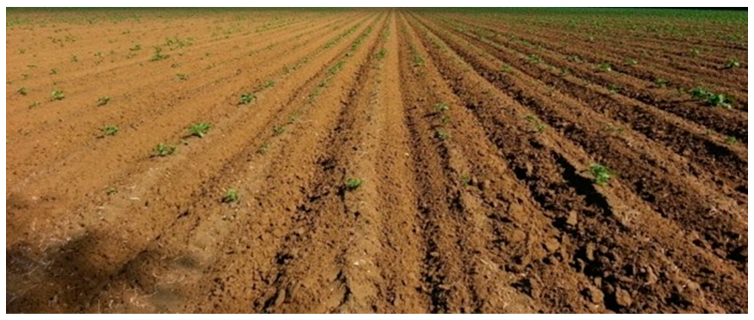 Sustainability 16 00355 g006