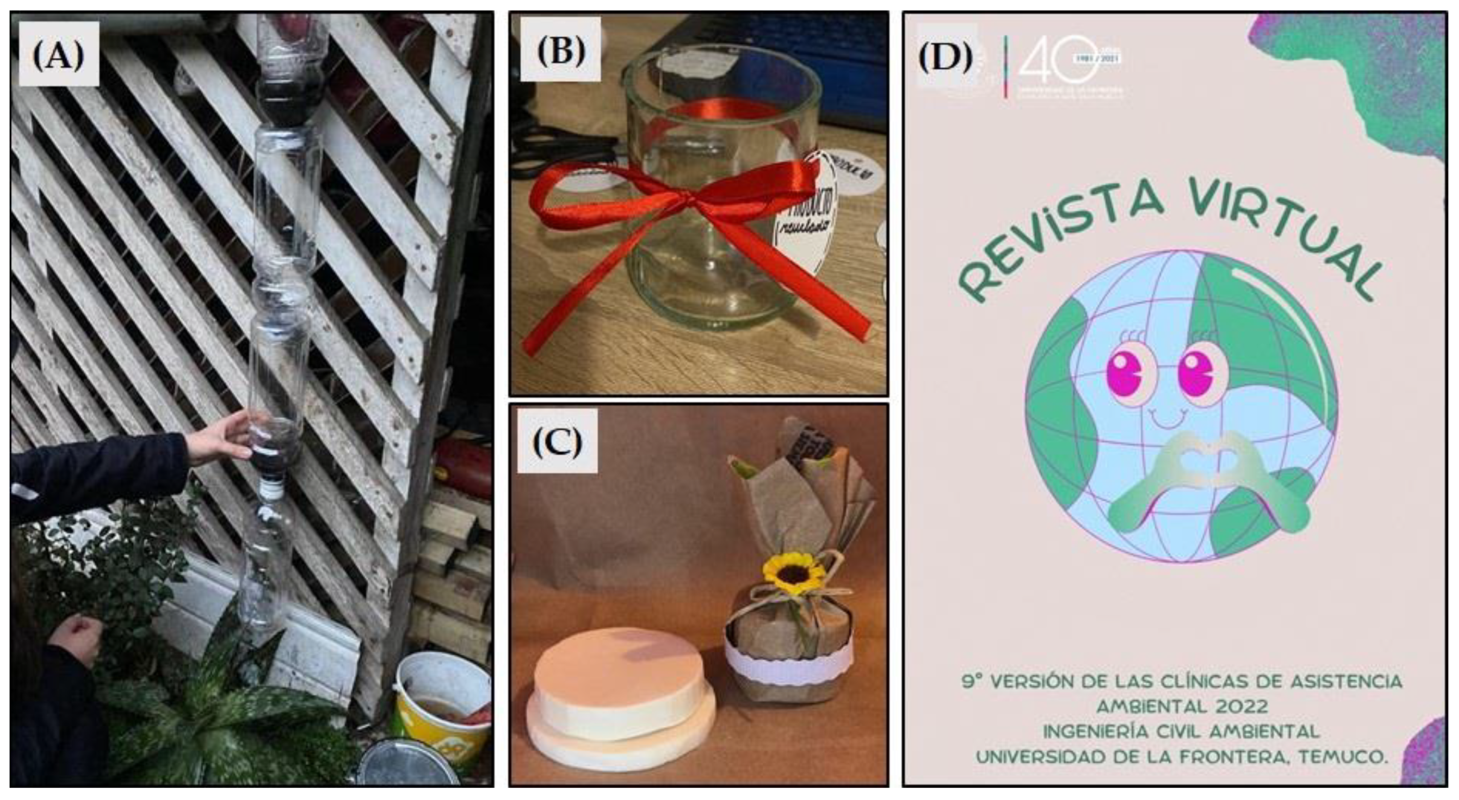 Sustainability 16 00365 g005