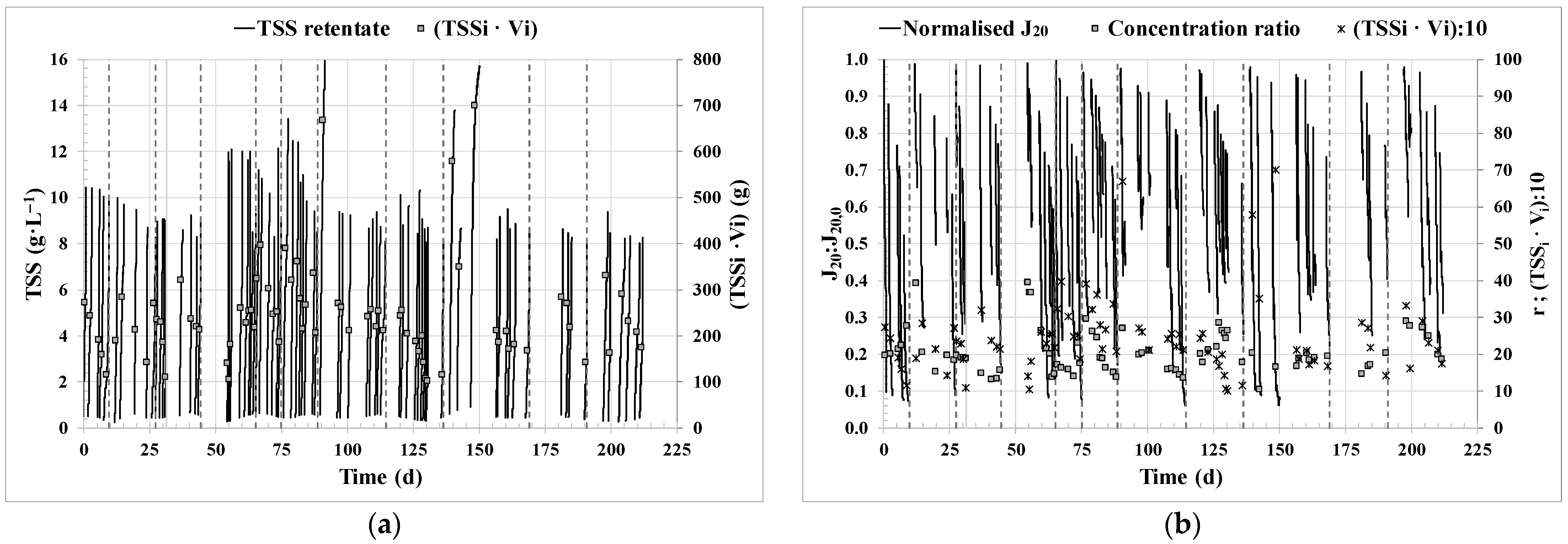 Sustainability 16 00369 g002