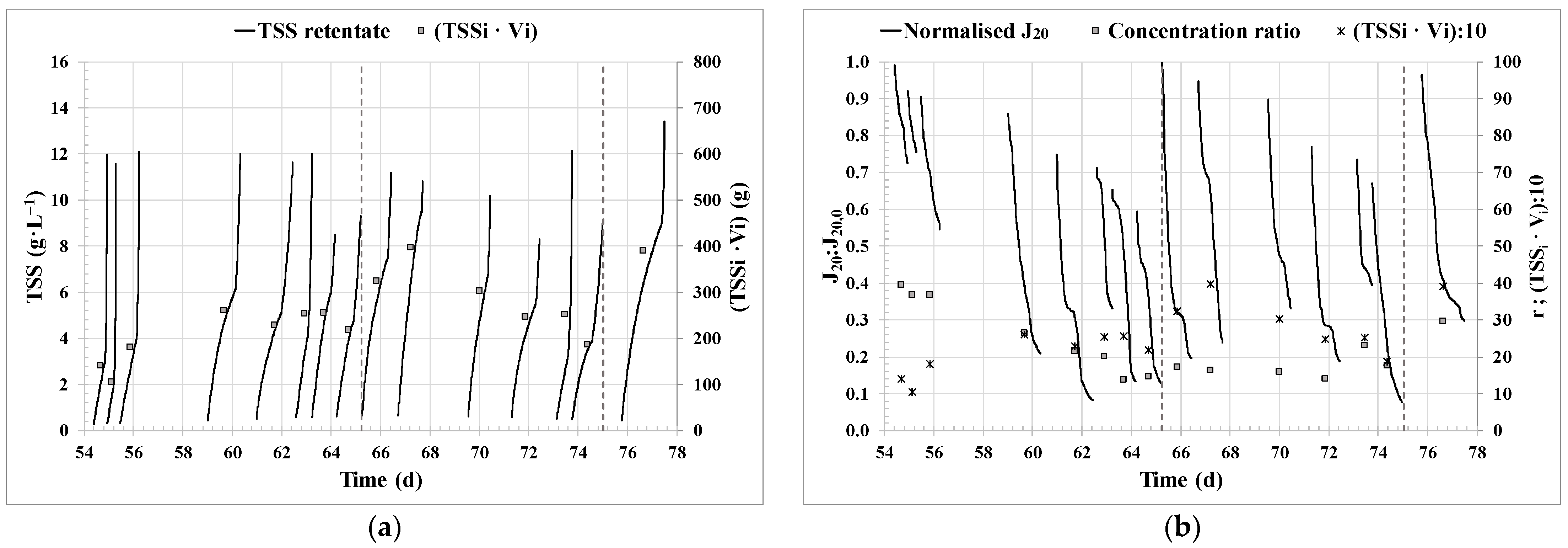 Sustainability 16 00369 g003
