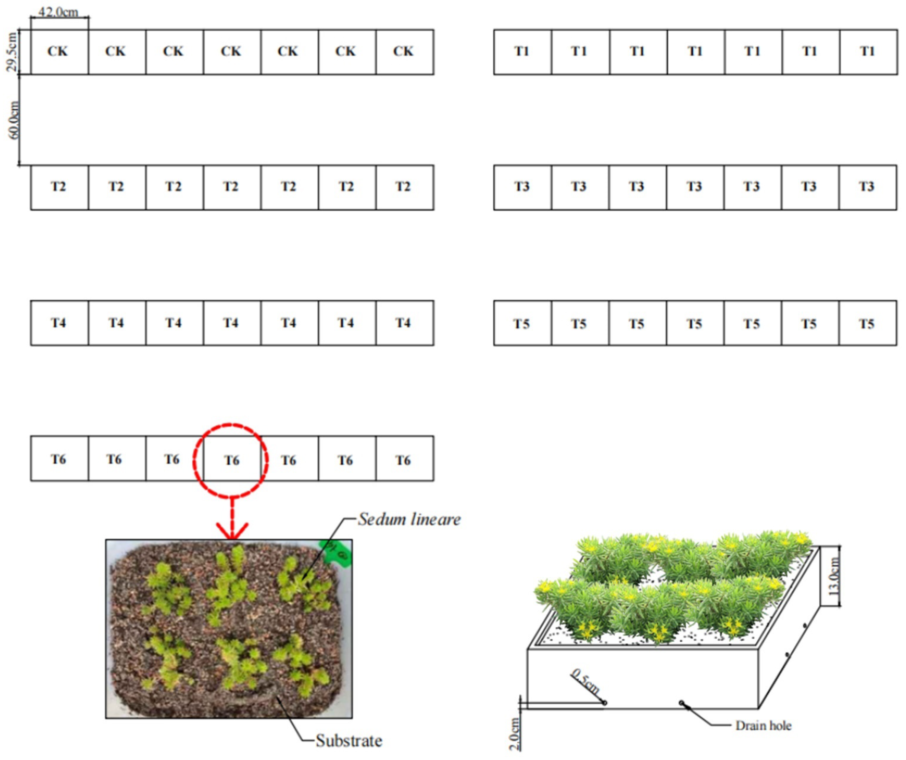 Sustainability 16 00414 g001