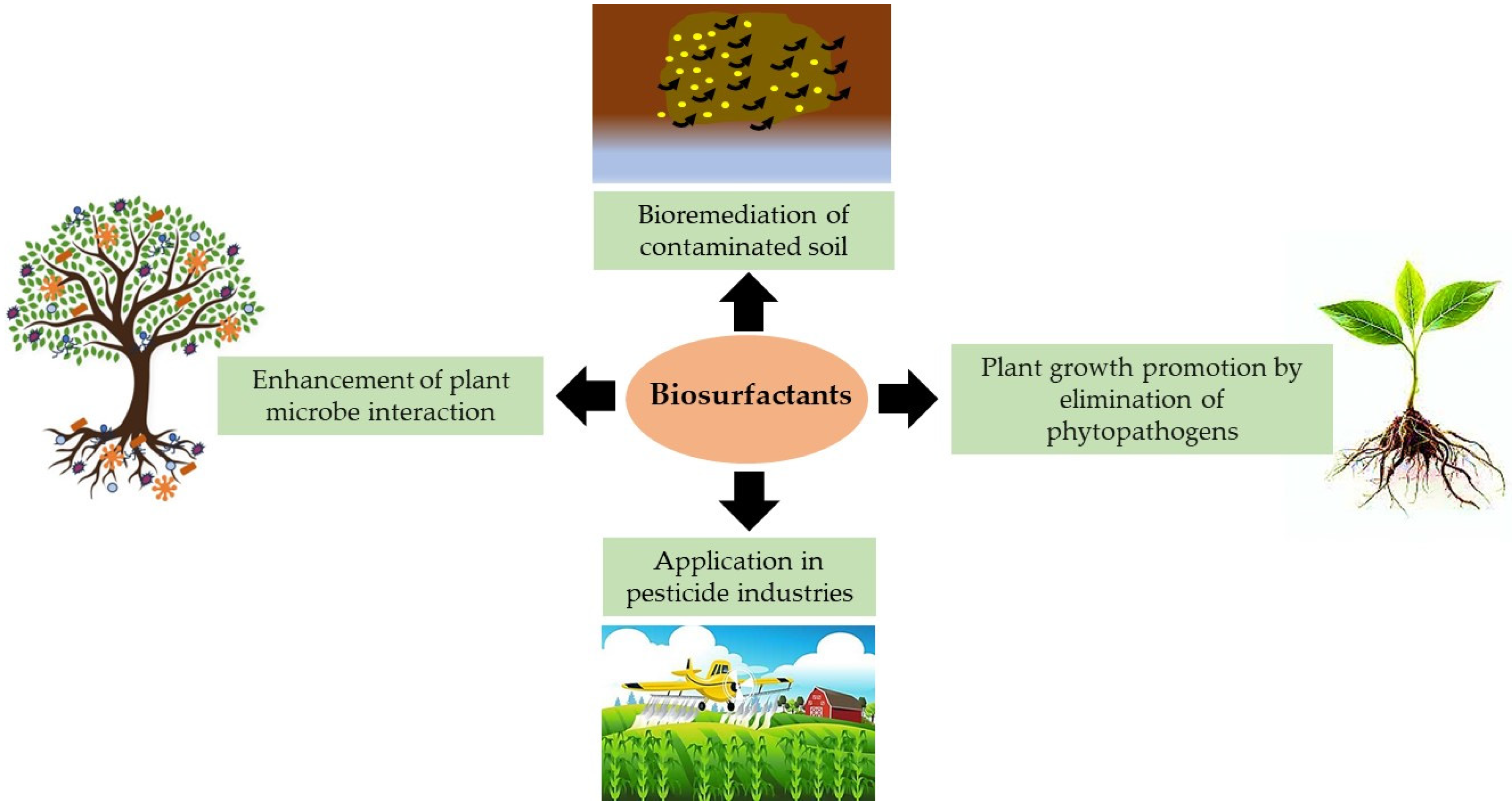 Sustainability 16 00449 g005
