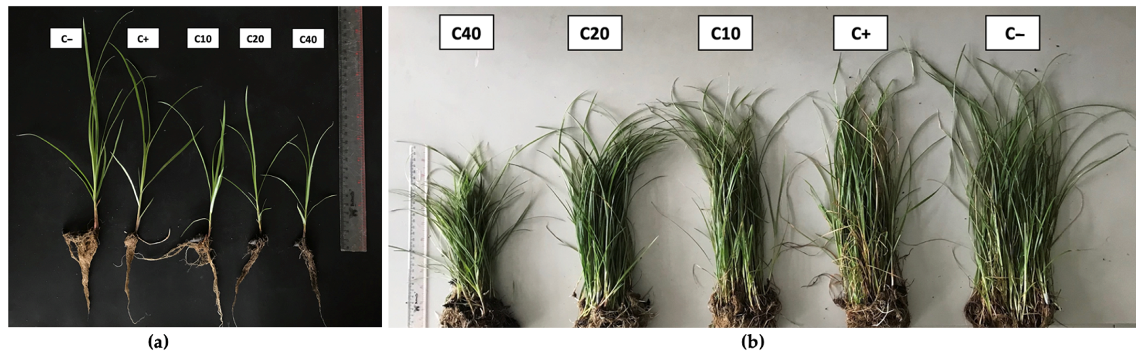 Sustainability 16 00479 g003