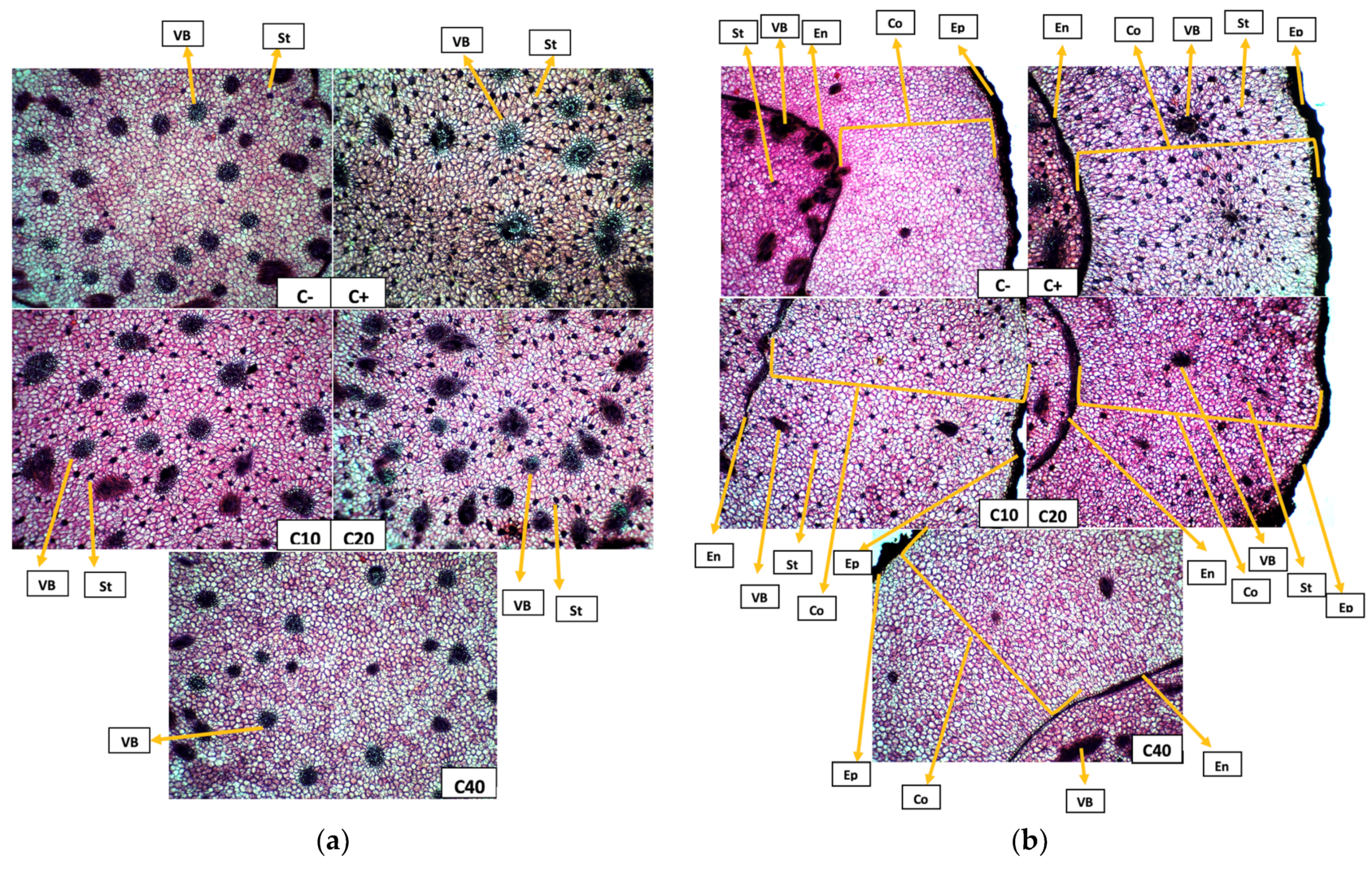 Sustainability 16 00479 g004