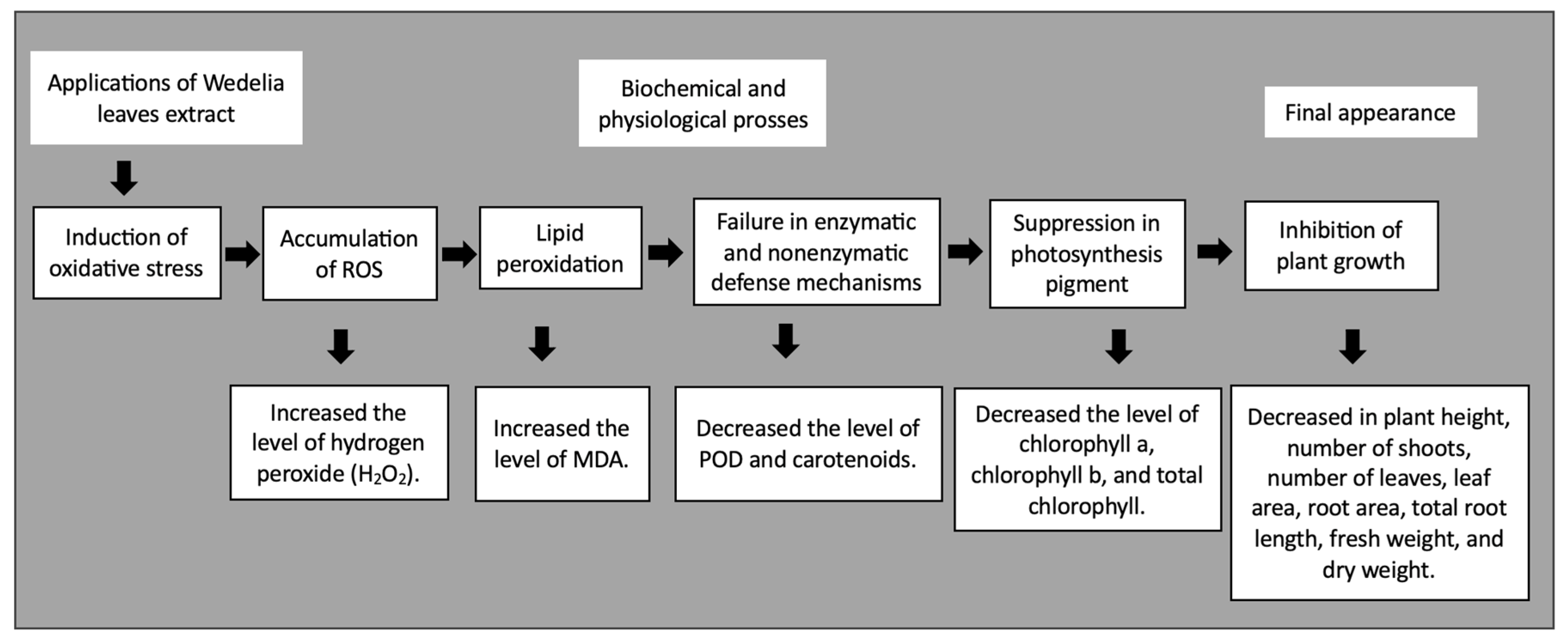 Sustainability 16 00479 sch002