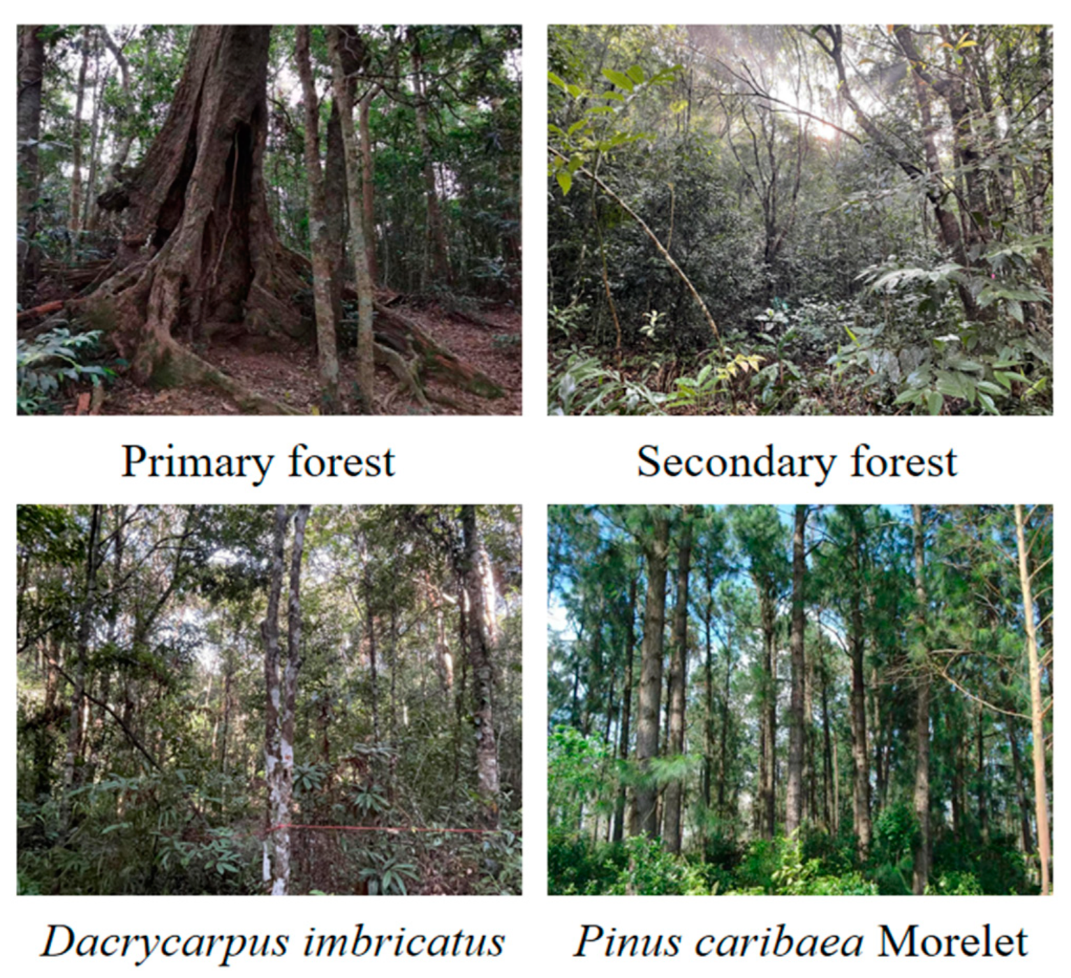 Sustainability 16 00480 g001